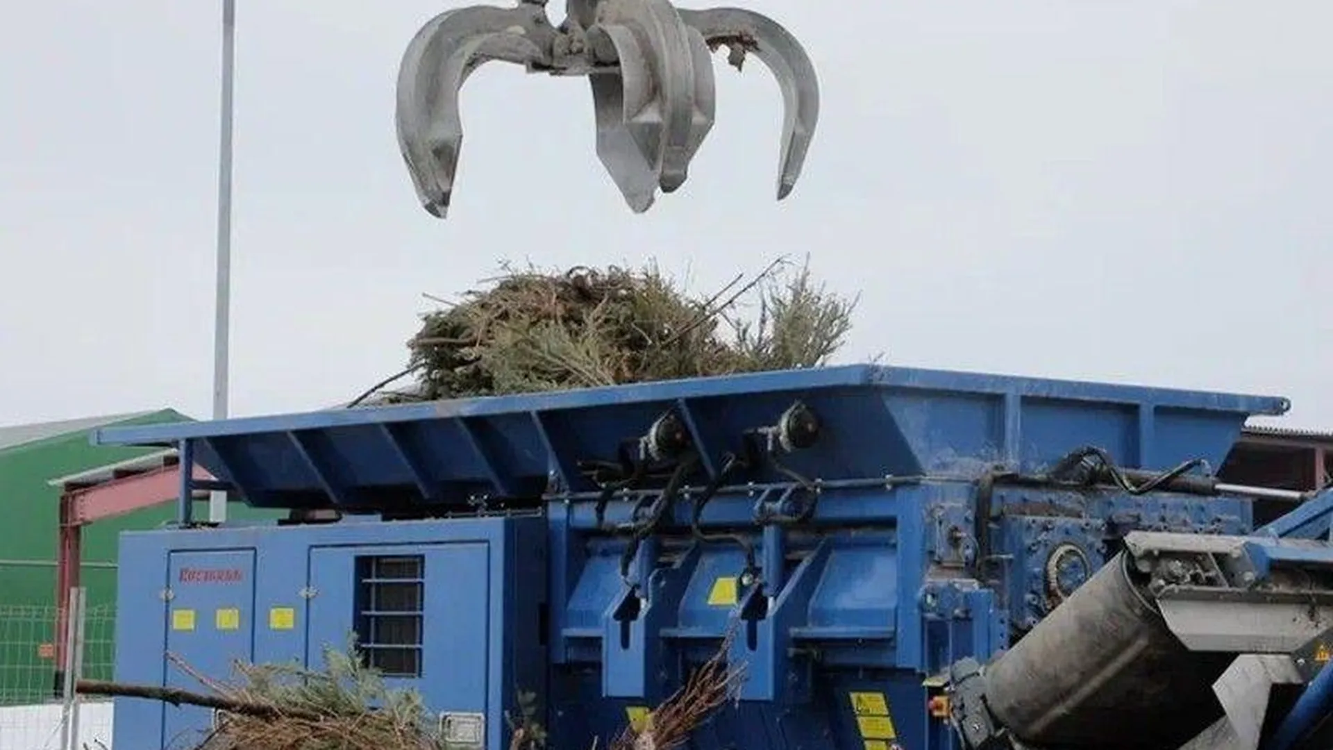 Региональные операторы «РТ-Инвест» начали сбор новогодних елок для переработки