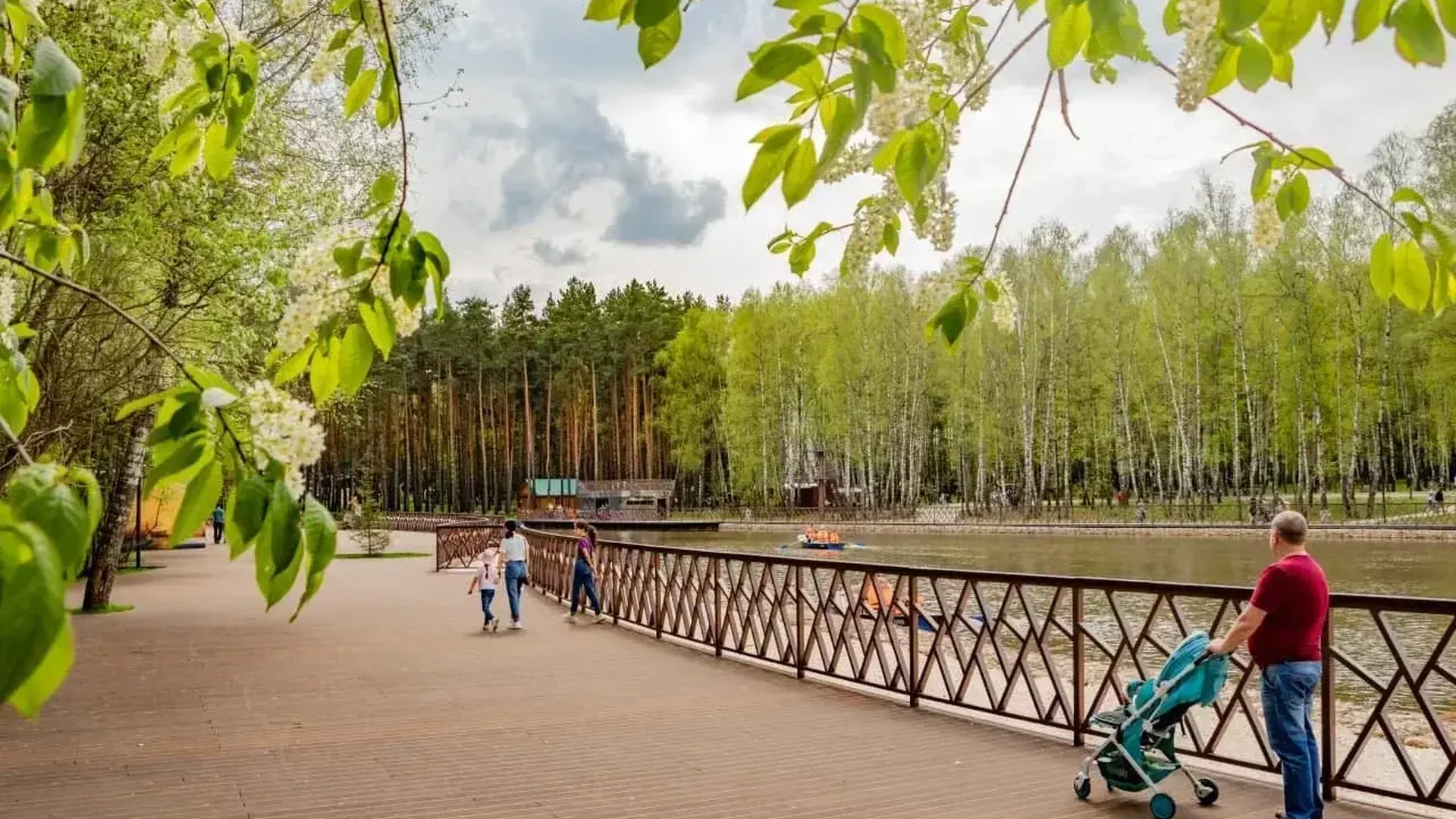 Парк «Елочки» в Домодедове вошел в топ-10 популярных за неделю