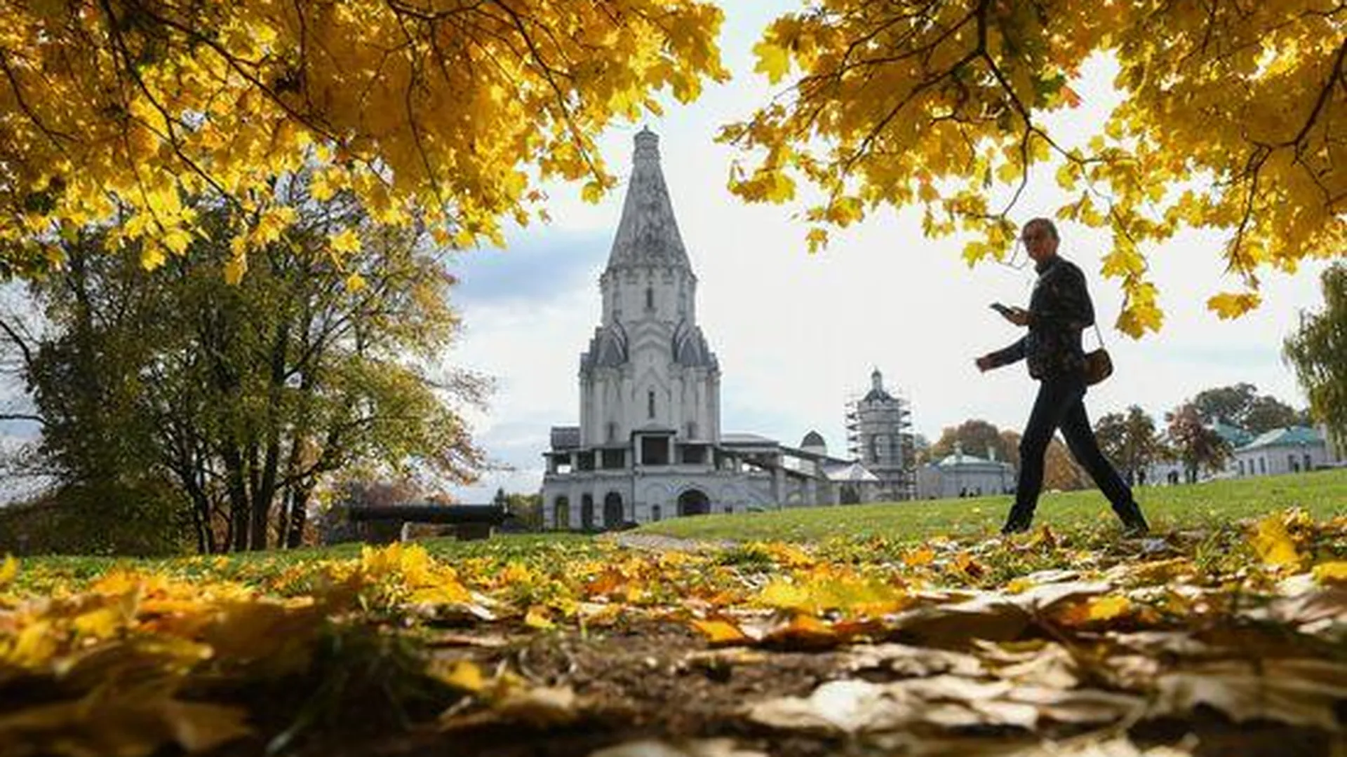 Москва 24 Осенние Фото