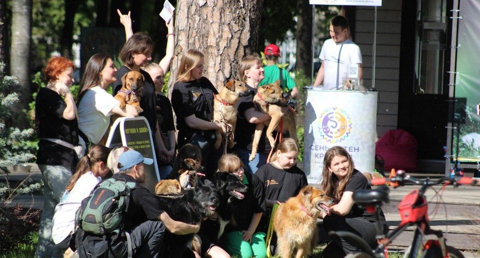 Более тысячи человек посетили фестиваль домашних животных в Ногинске