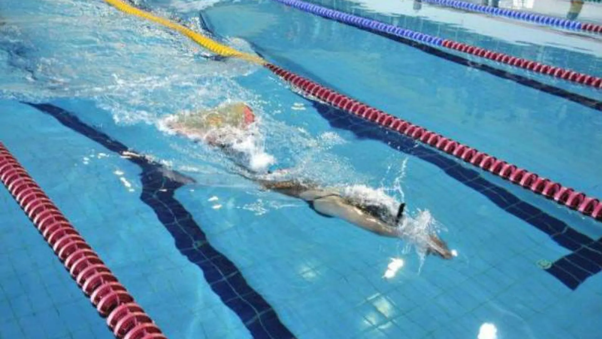 Четыре медали получила подмосковная спортсменка на ЧМ по плаванию в ластах