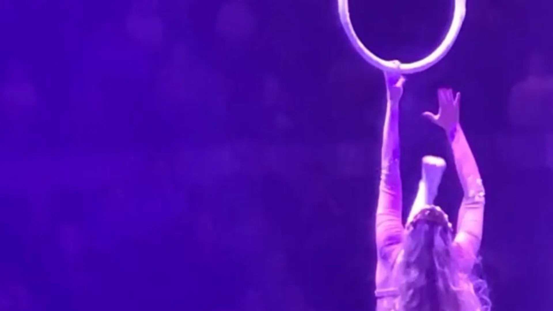 Цирковая гимнастка сорвалась с кольца во время выступления в Новосибирске