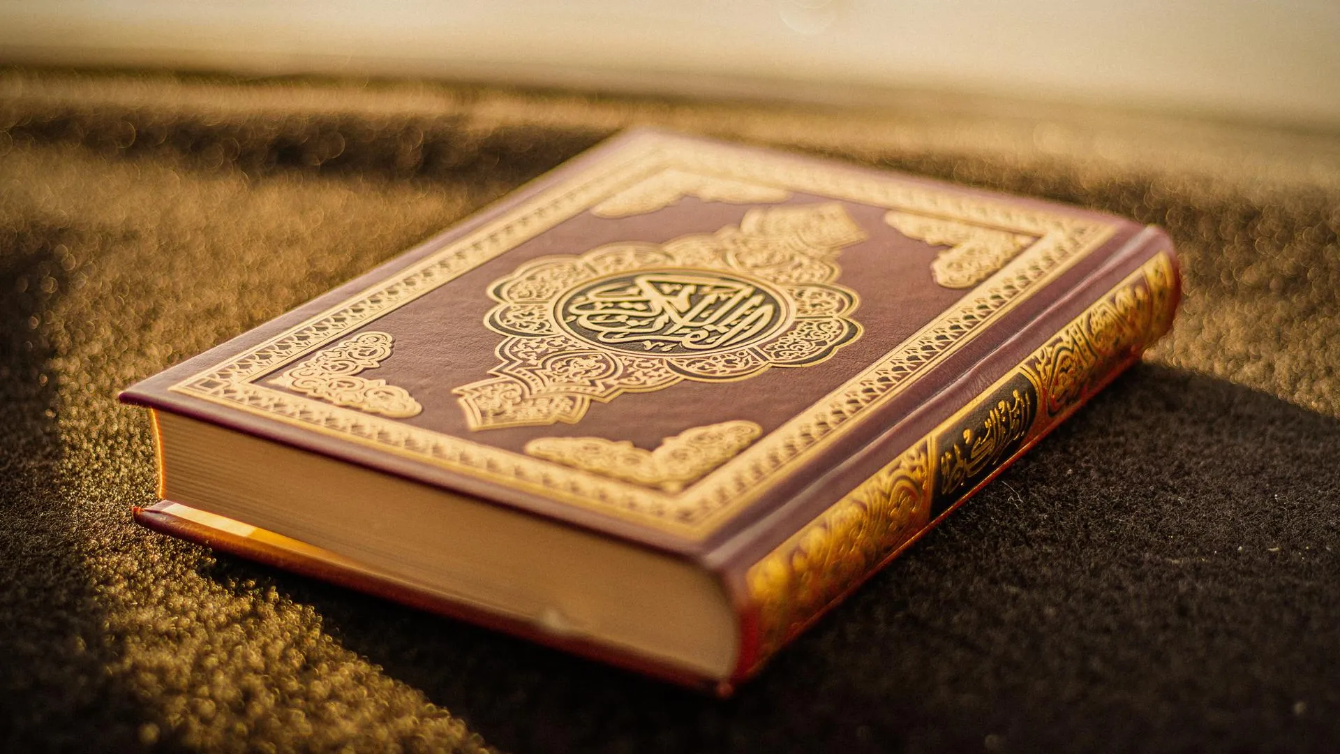 Толпа мусульман напала на радикала за попытку сжечь Коран в Нидерландах