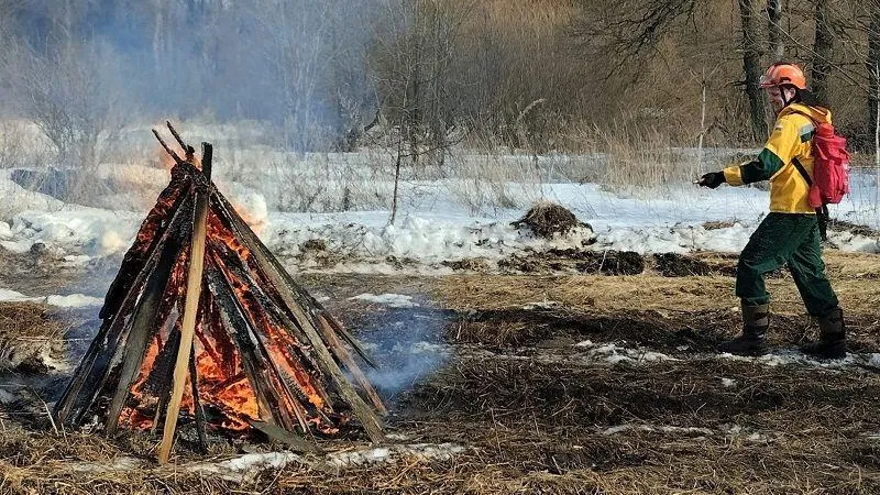 Учения по технике и тактике тушения лесных пожаров прошли в Подмосковье