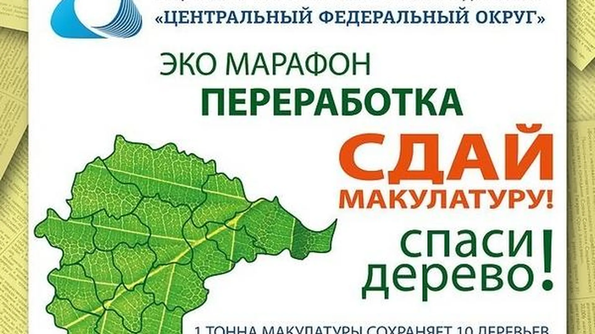 Экомарафон по сдаче макулатуры стартует в Орехово-Зуево