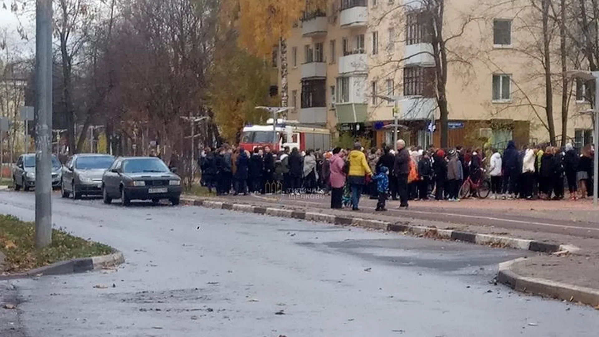 Учеников лицея эвакуировали в Щелково