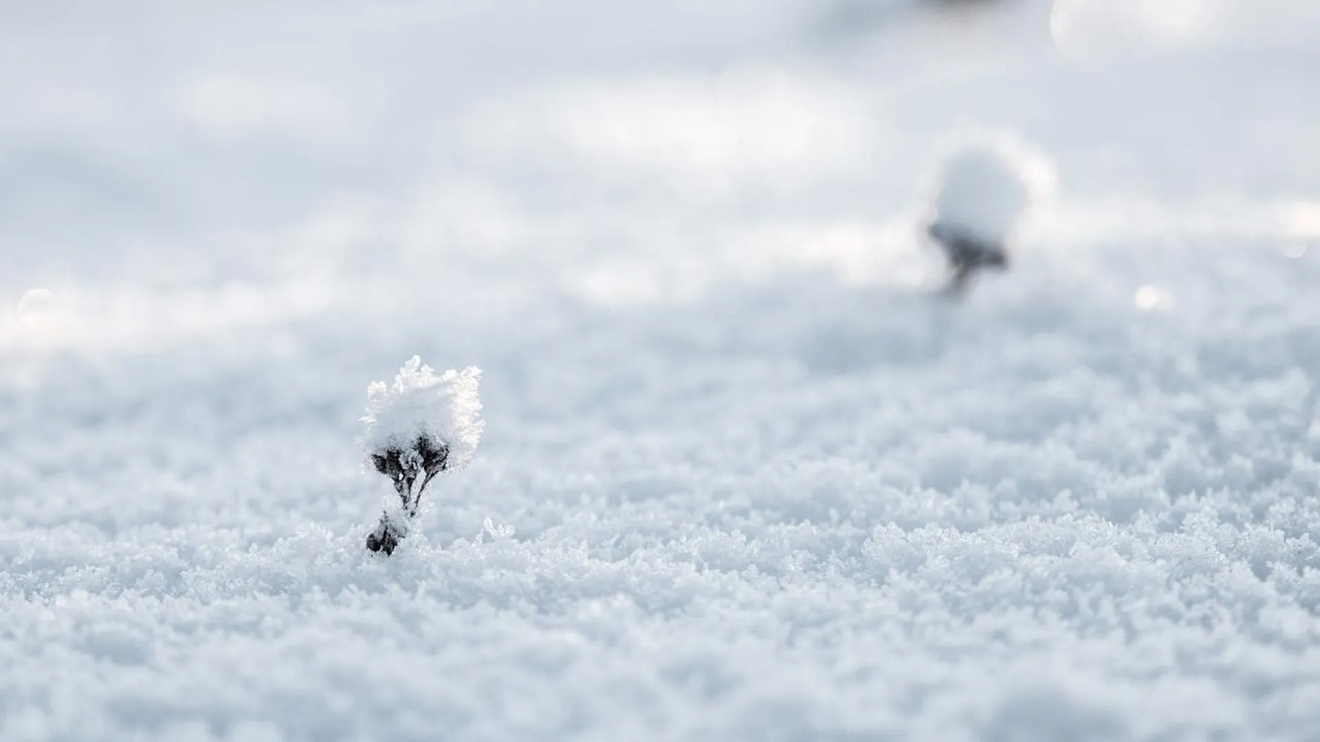 Администрации округов Подмосковья предостерегли от возможных нарушений при уборке снега