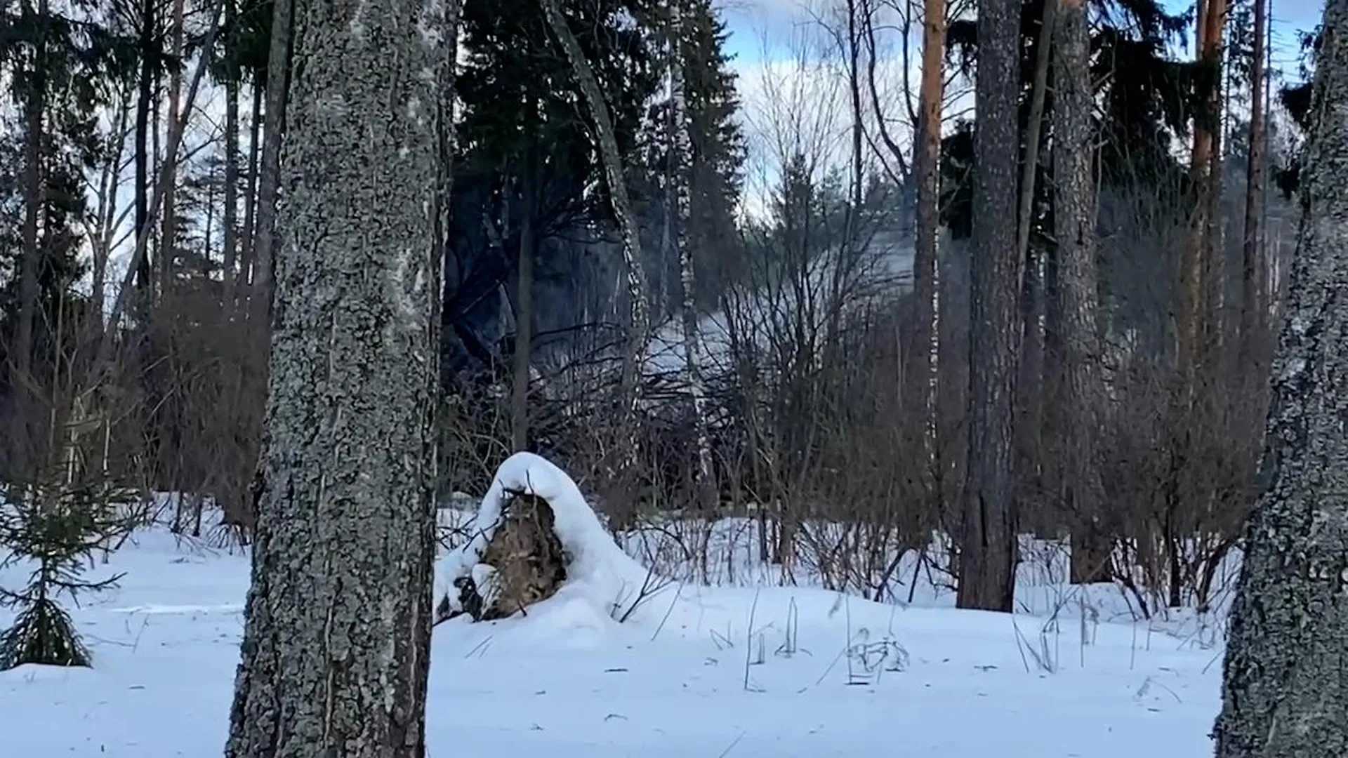 Место крушения Ил-76 в Ивановской области сняли на видео