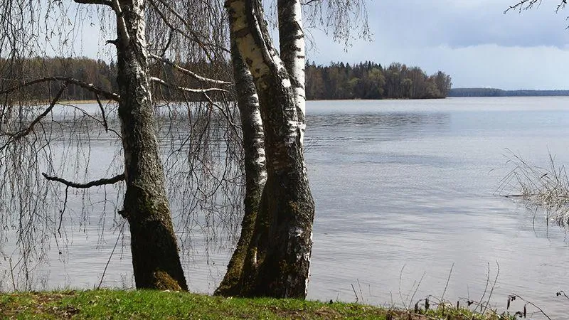 Затопленное село Курово