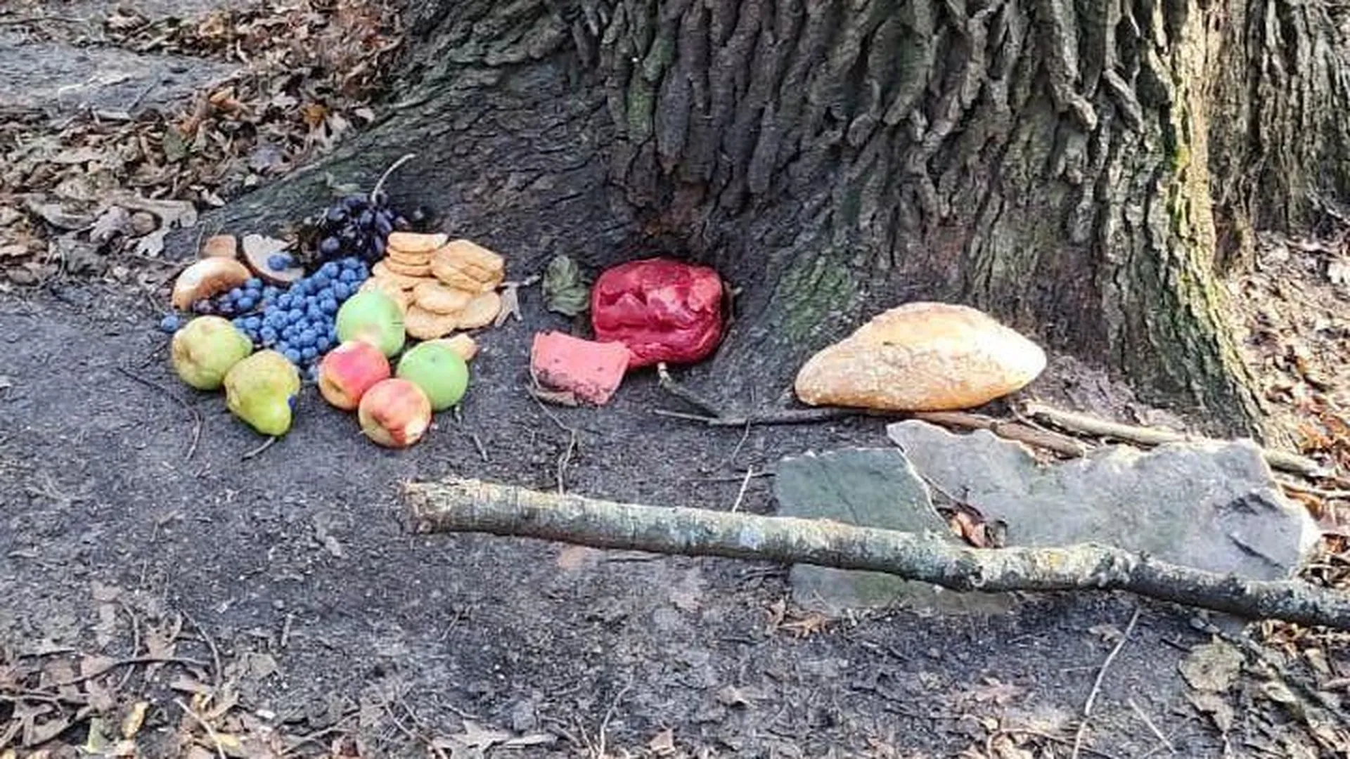 Ритуал с едой: шикарный продуктовый набор под деревом поразил прохожего в Лыткарино