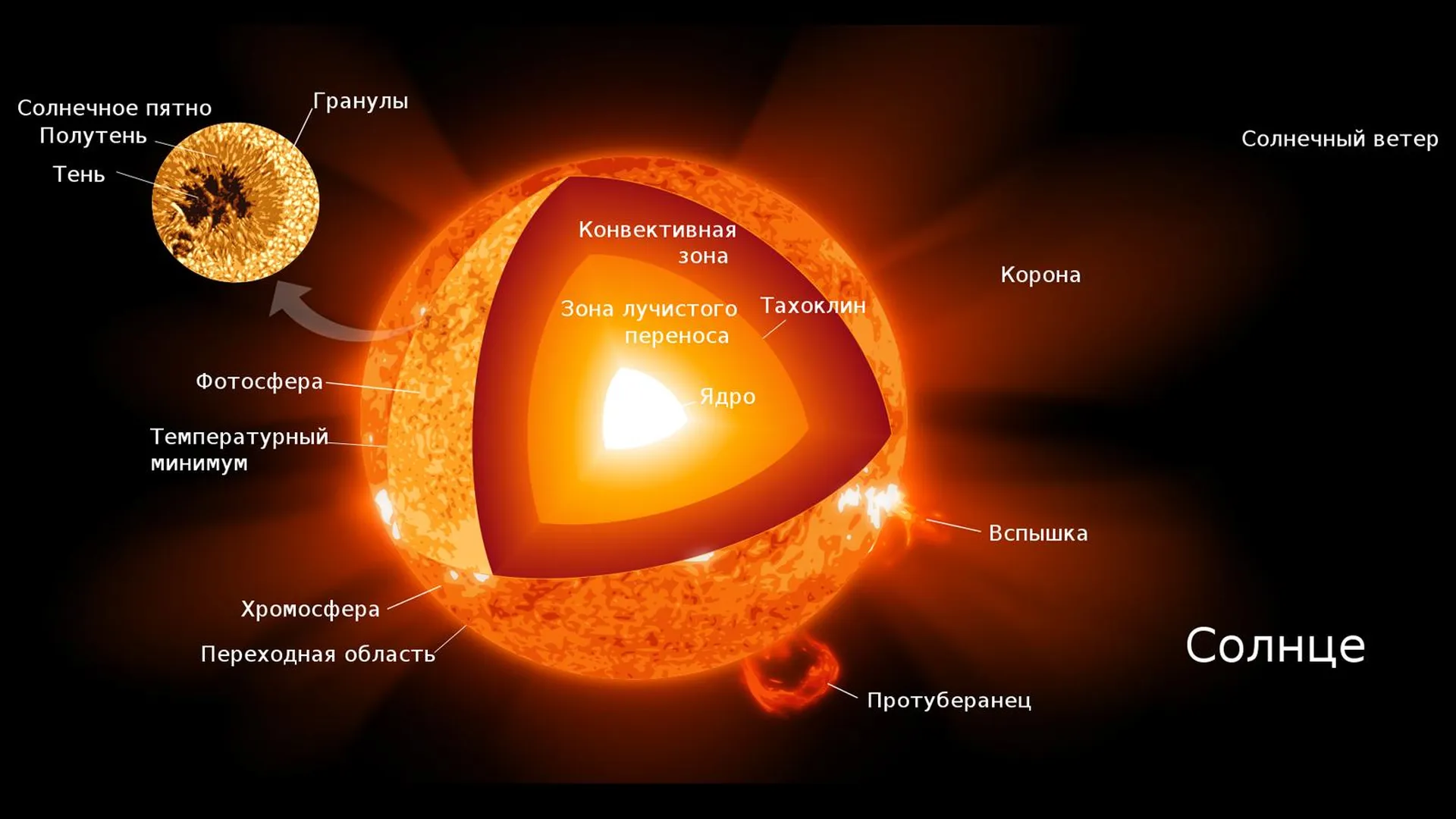 Диаграмма внутреннего строения Солнца