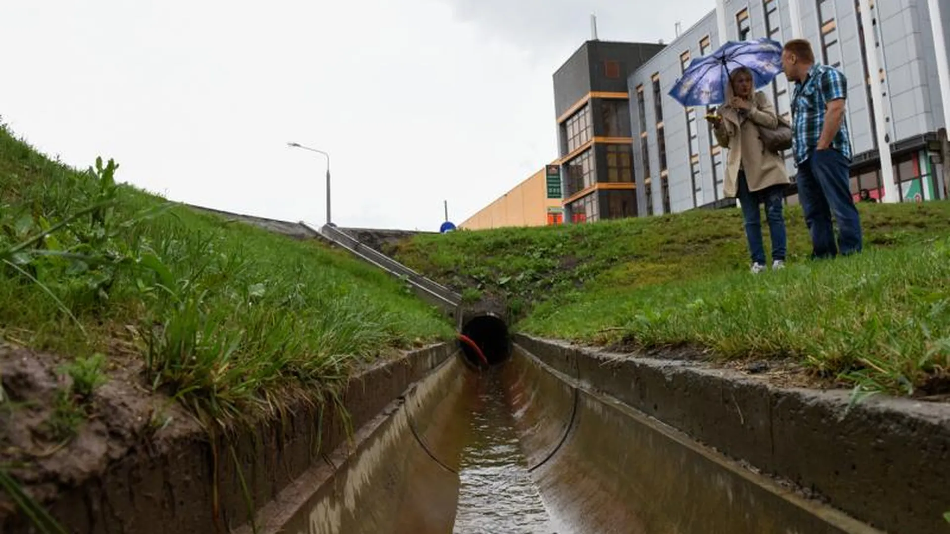 Жители Истринского района пытаются спасти ручей от загрязнения отходами