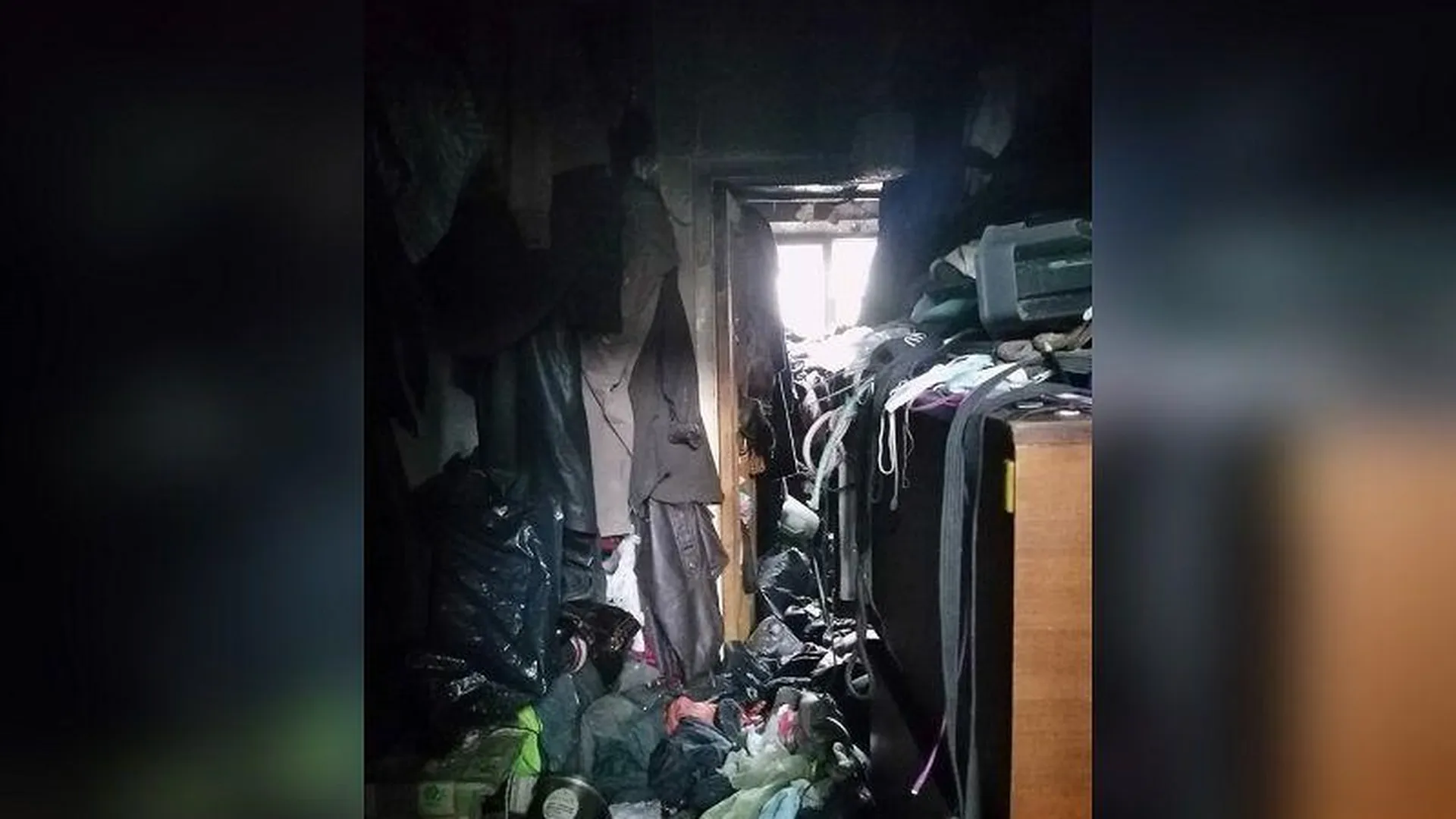 Горожанка обнаружила полуживых собак, запертых в сгоревшей квартире в Дмитрове