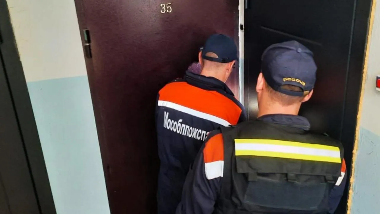 Подмосковные спасатели выручили из беды пожилую женщину в Сергиевом Посаде