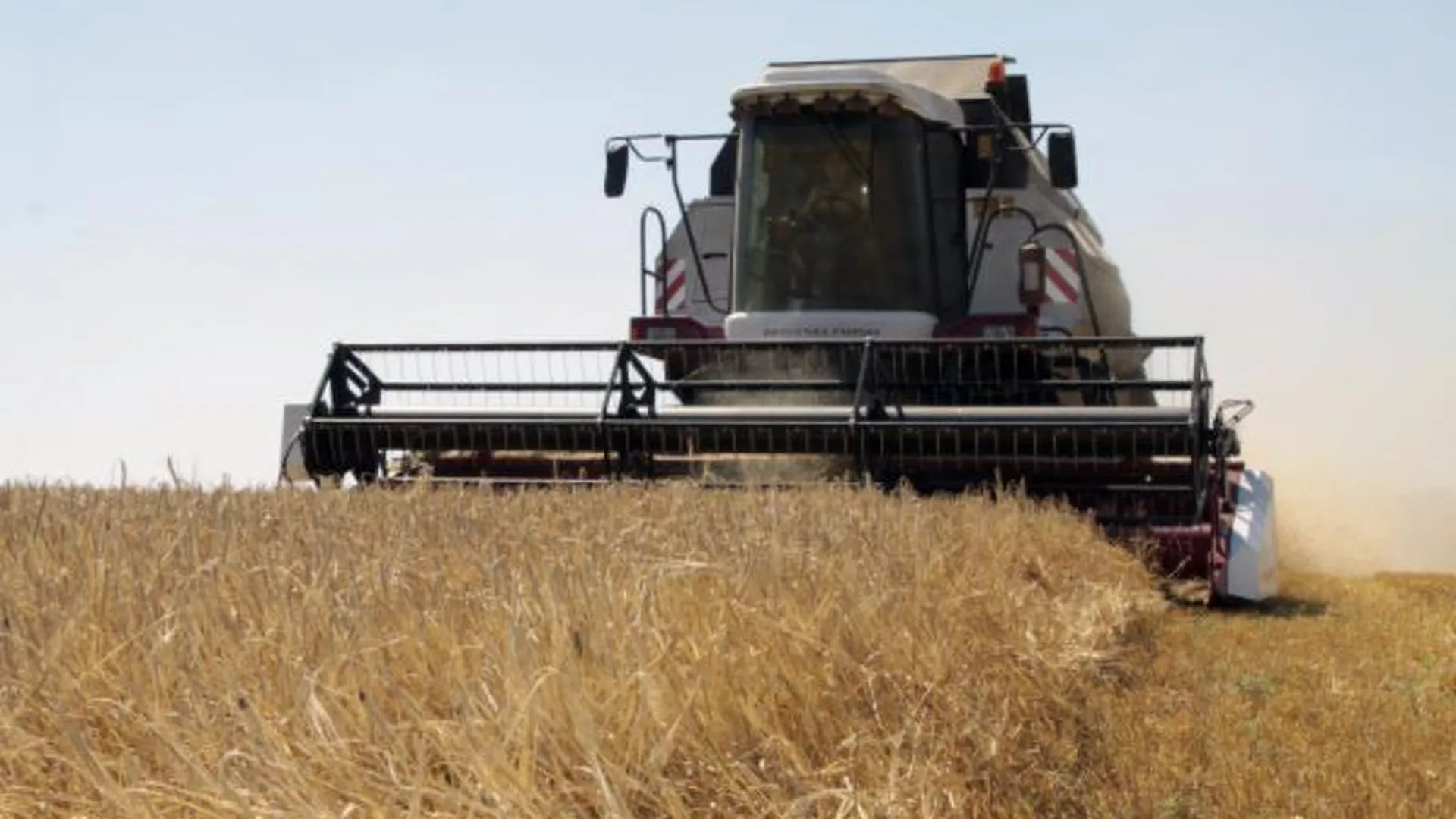 Уборку зерновых начали в 17 районах МО