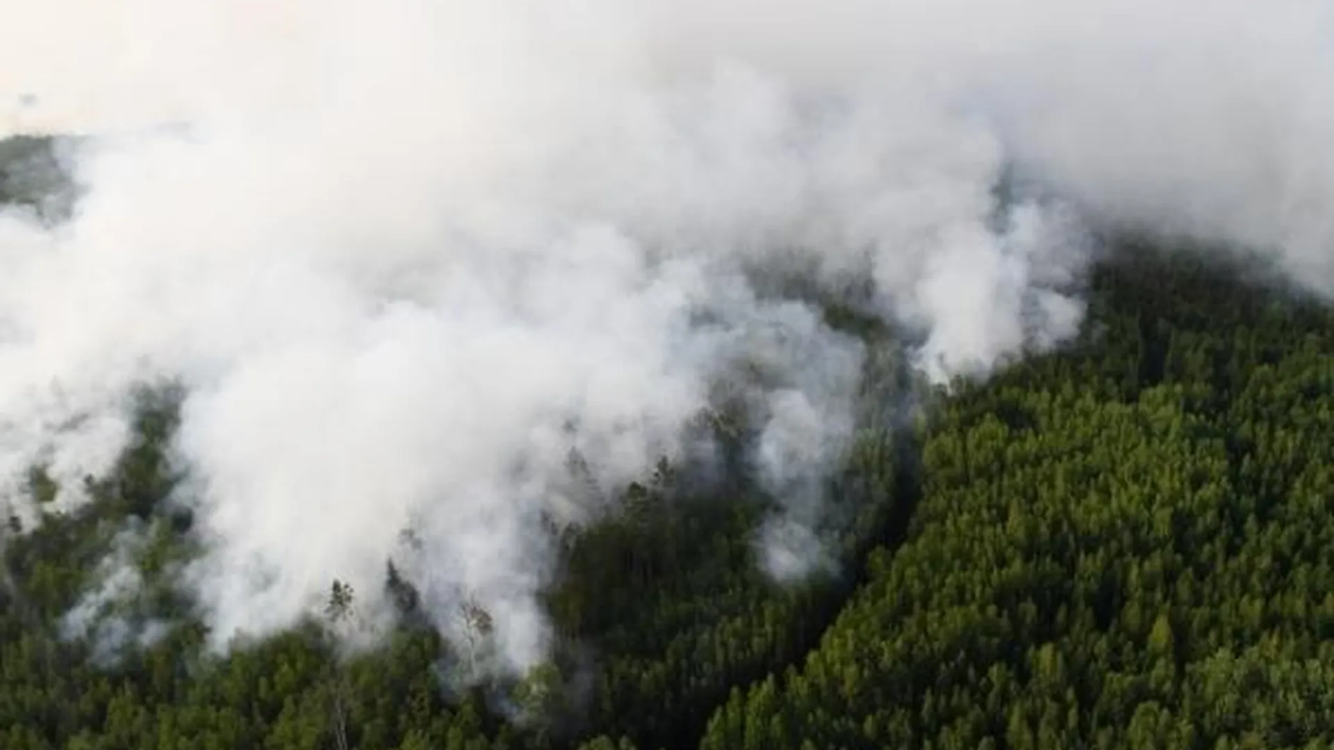Эксперт: с пожарами в Сибири справятся только сезонные дожди