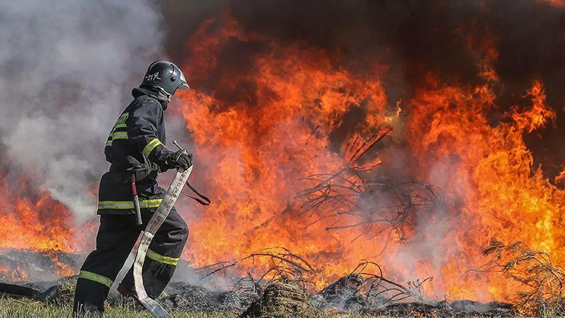 В Подмосковье подвели итоги пожароопасного сезона в лесах