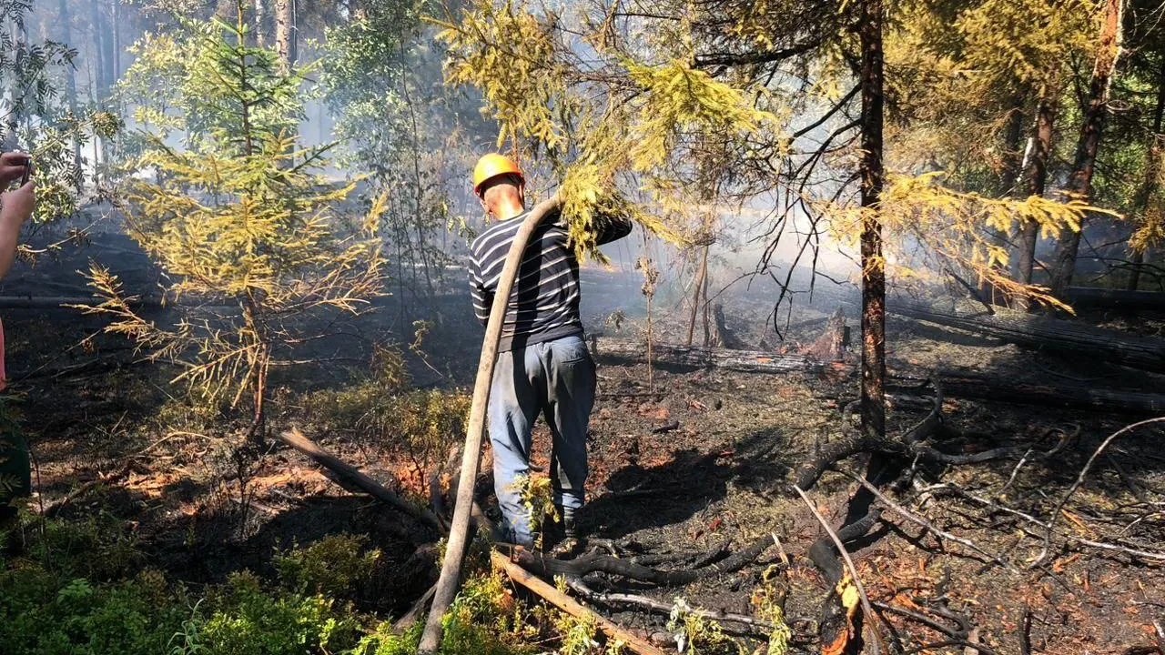 Лесной пожар в Орехово-Зуево тушили более шести часов