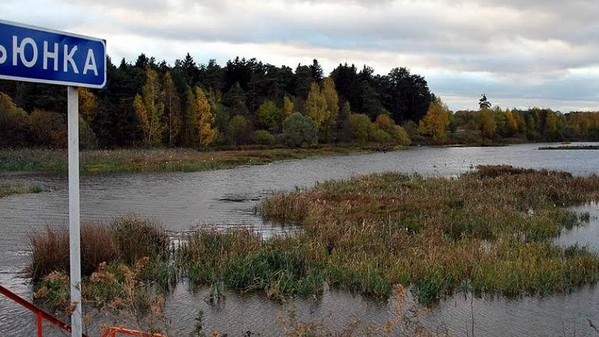Загрязнители реки в Большом Подольске, отказавшиеся платить штраф, проиграли в суде