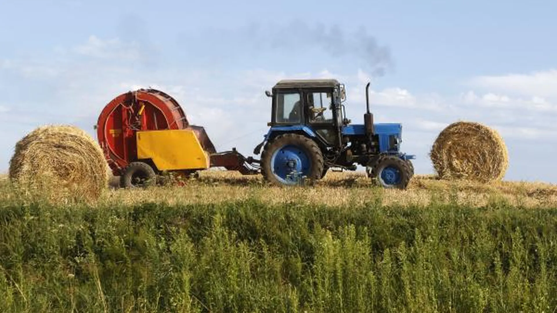 Область выделила на поддержку фермеров 83 млн рублей