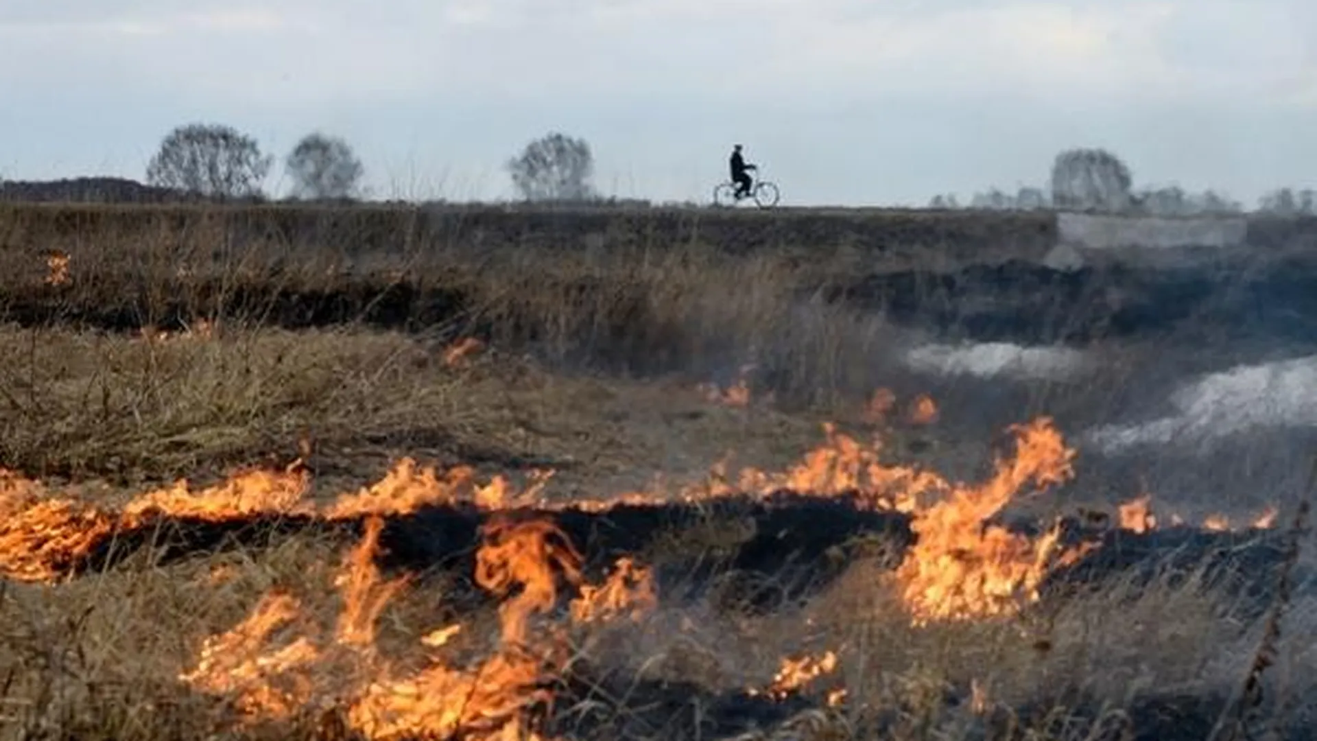 Пестов: пожароопасный период в 2015 г крайне непростой