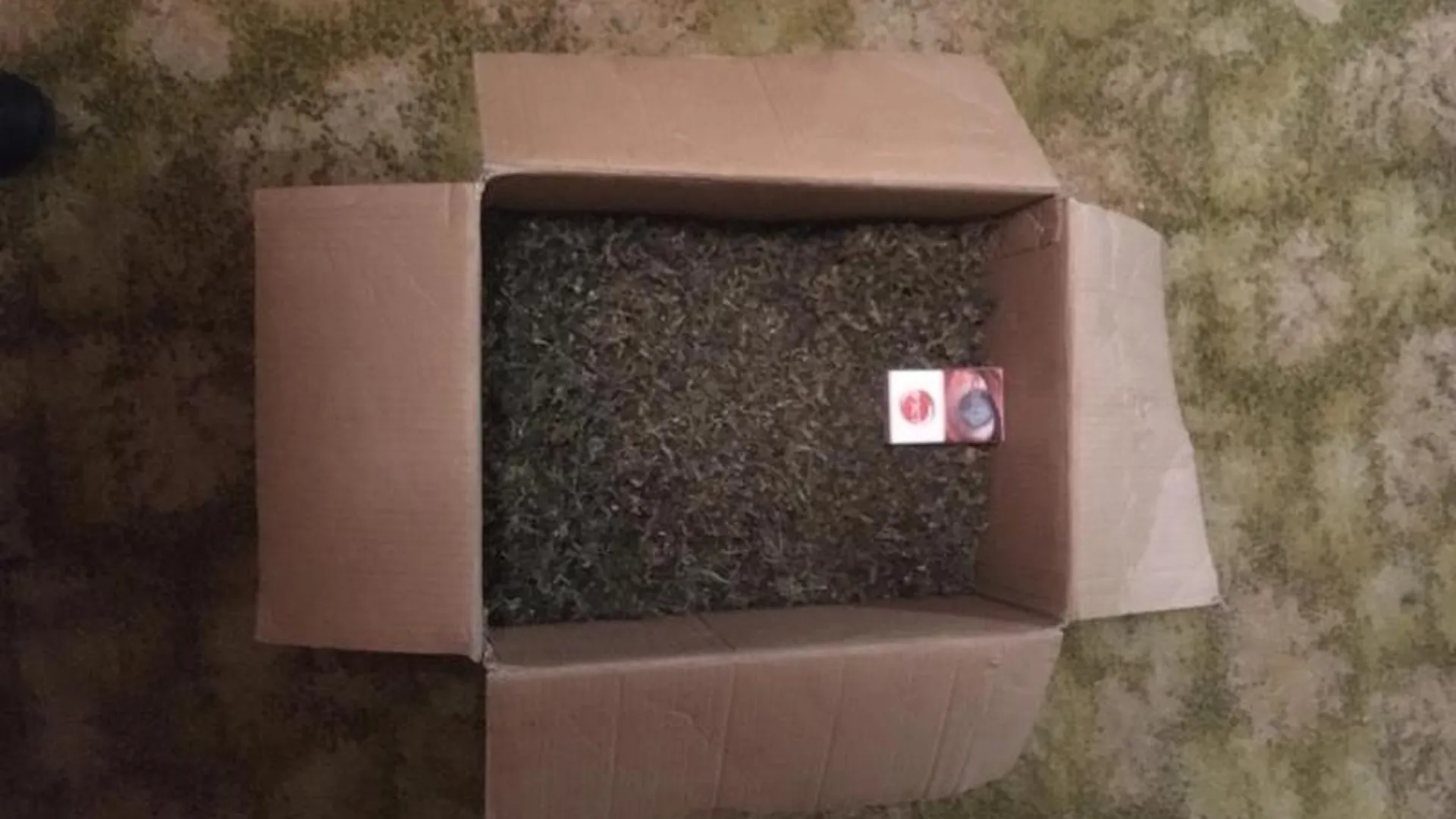 Коробку с кило марихуаны нашли в квартире жителя Шатуры