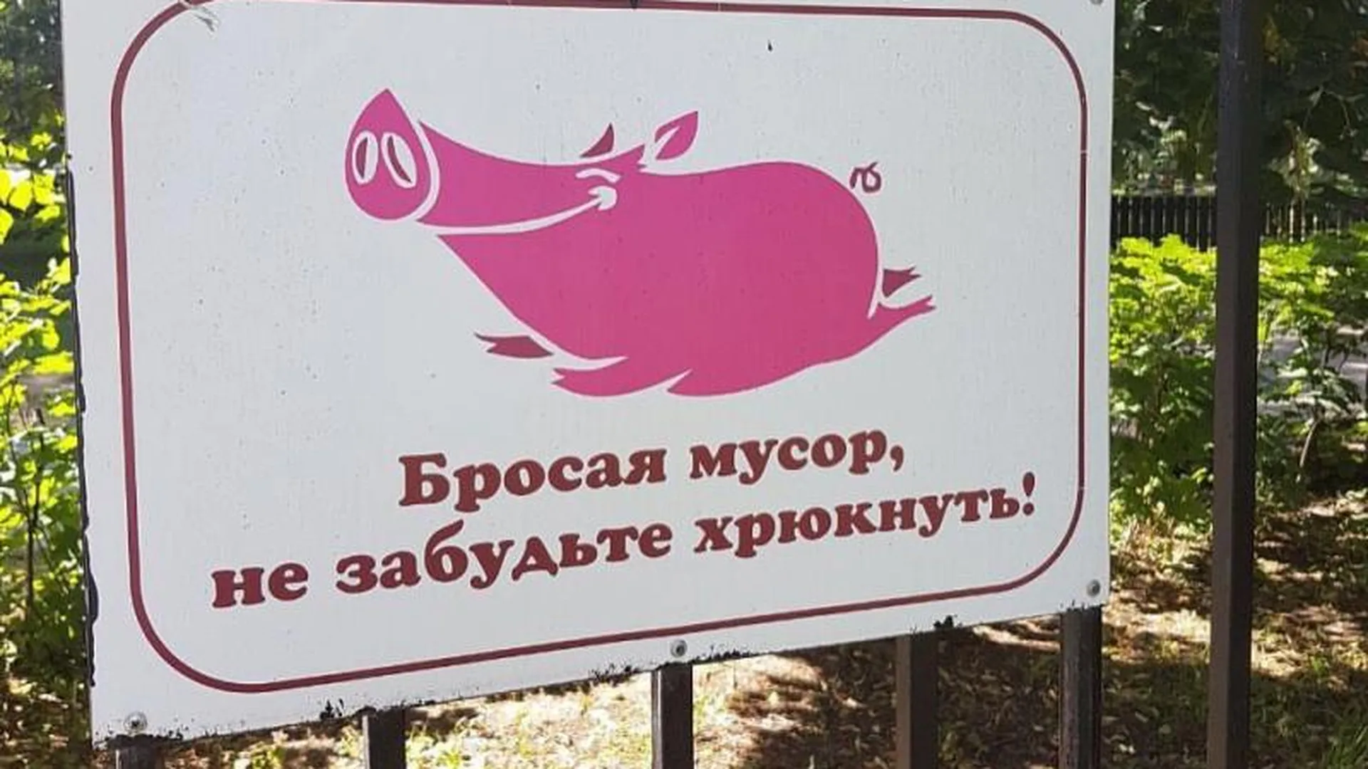 Ироничные указатели с хрюшками появились в Пушкинском районе