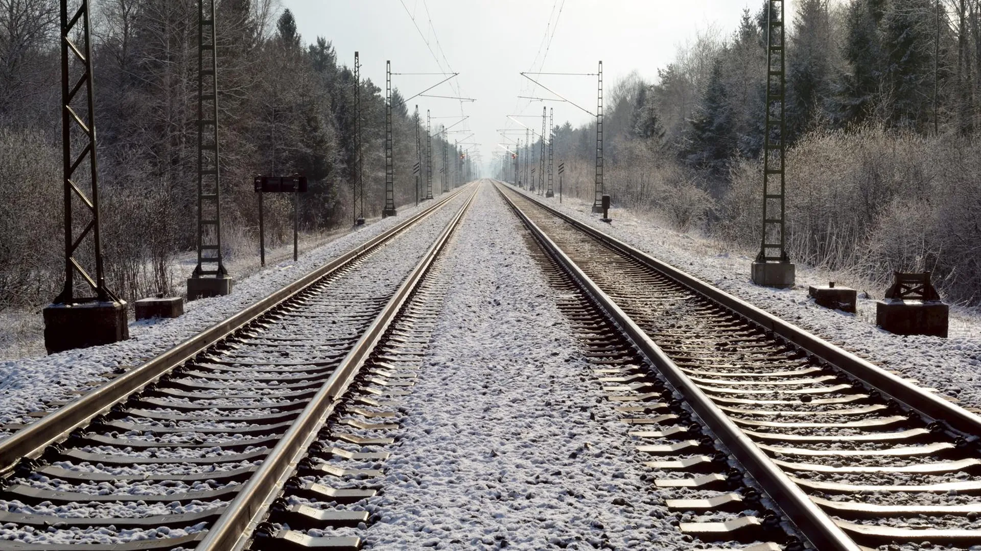 Грузовой поезд насмерть сбил мужчину в Тюменской области