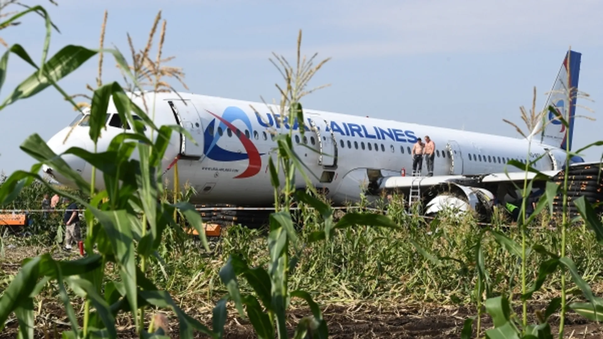 «Идем правее, на солнце, вдоль рядов кукурузы». Как родилась крылатая фраза с самолета Airbus A321?