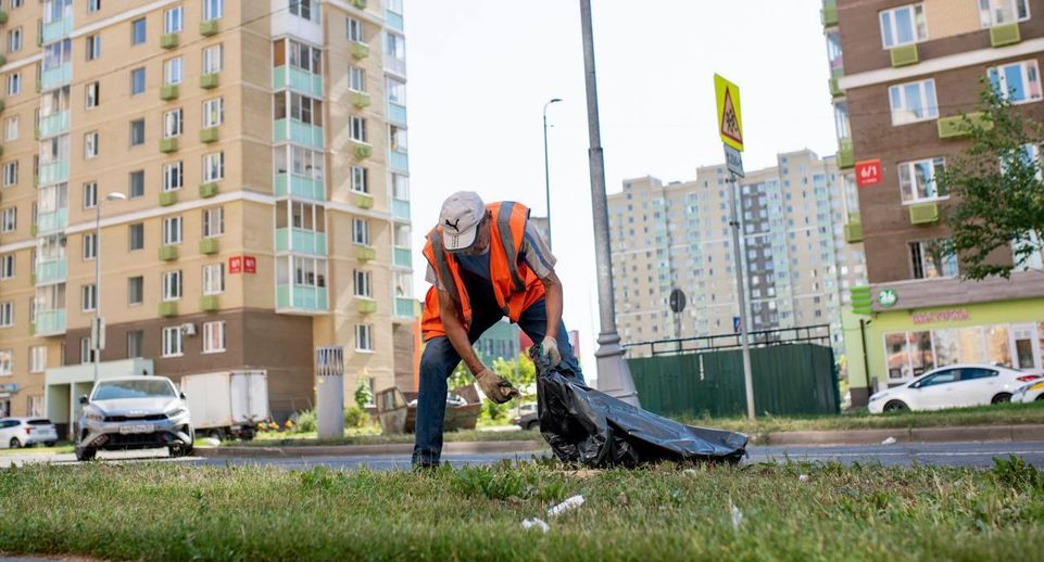 Более 30 тысяч километров придорожных полос очистили от мусора в Подмосковье
