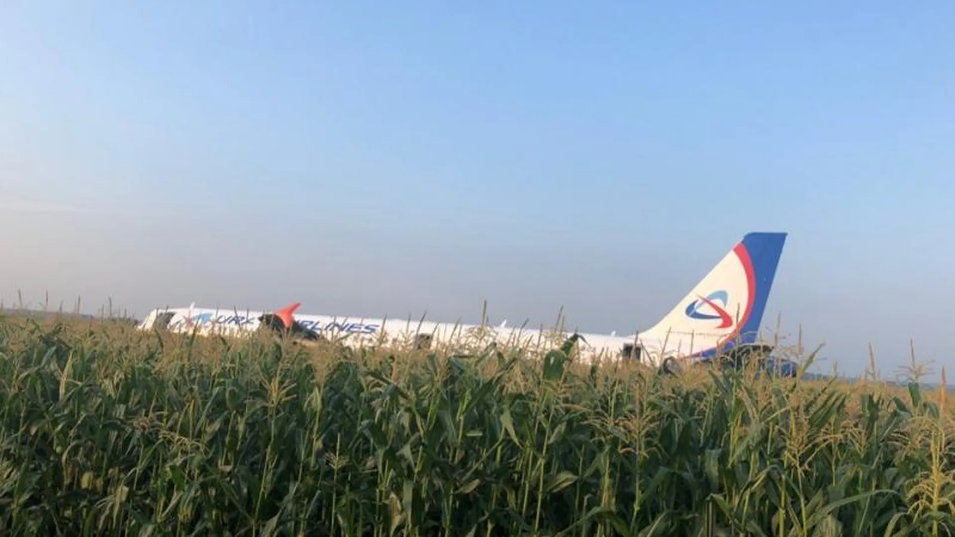 Пассажирский самолет экстренно сел в открытом поле в Раменском