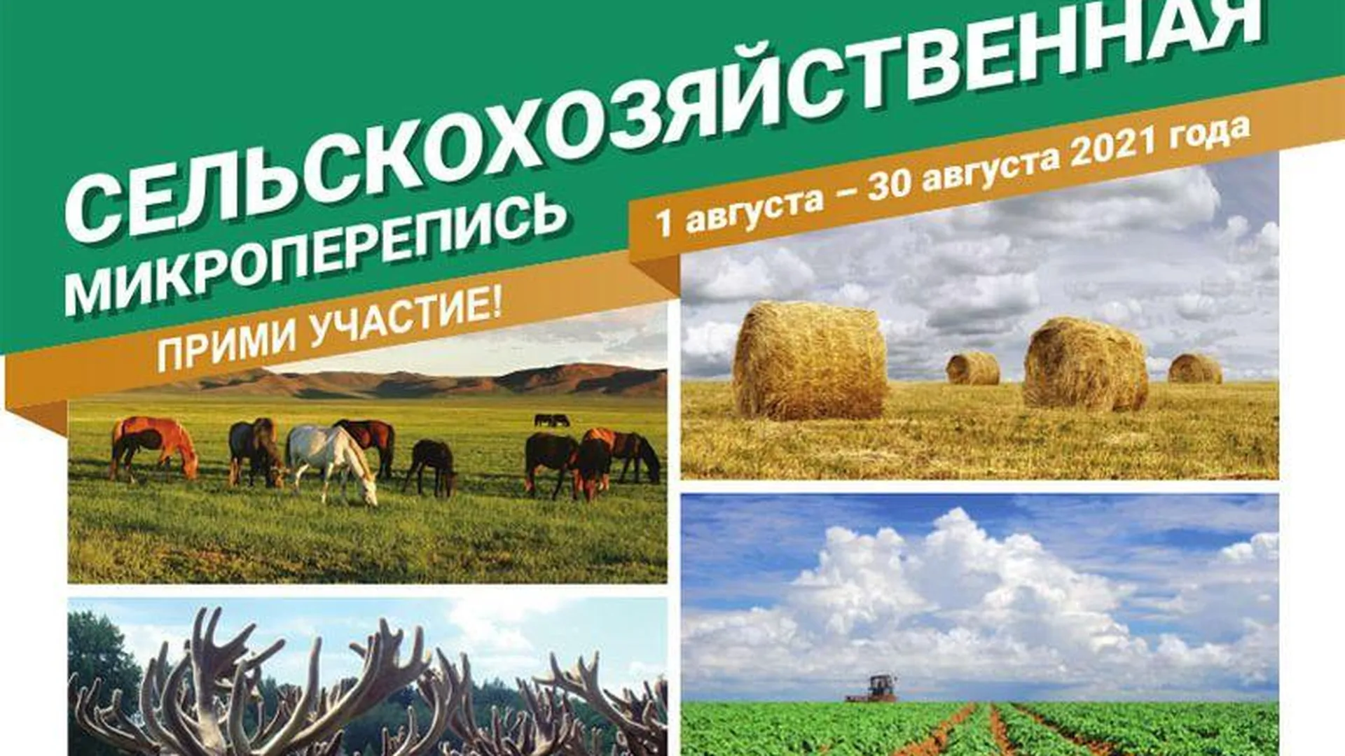 Первая неделя сельскохозяйственной микропереписи в Подмосковье прошла успешно