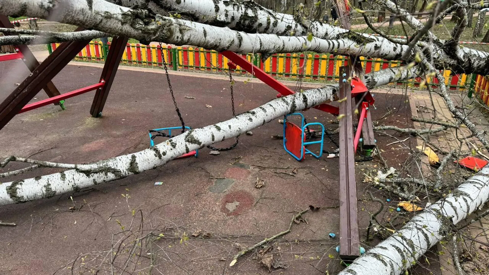 Дерево упало на двухлетнюю девочку в Красногорске