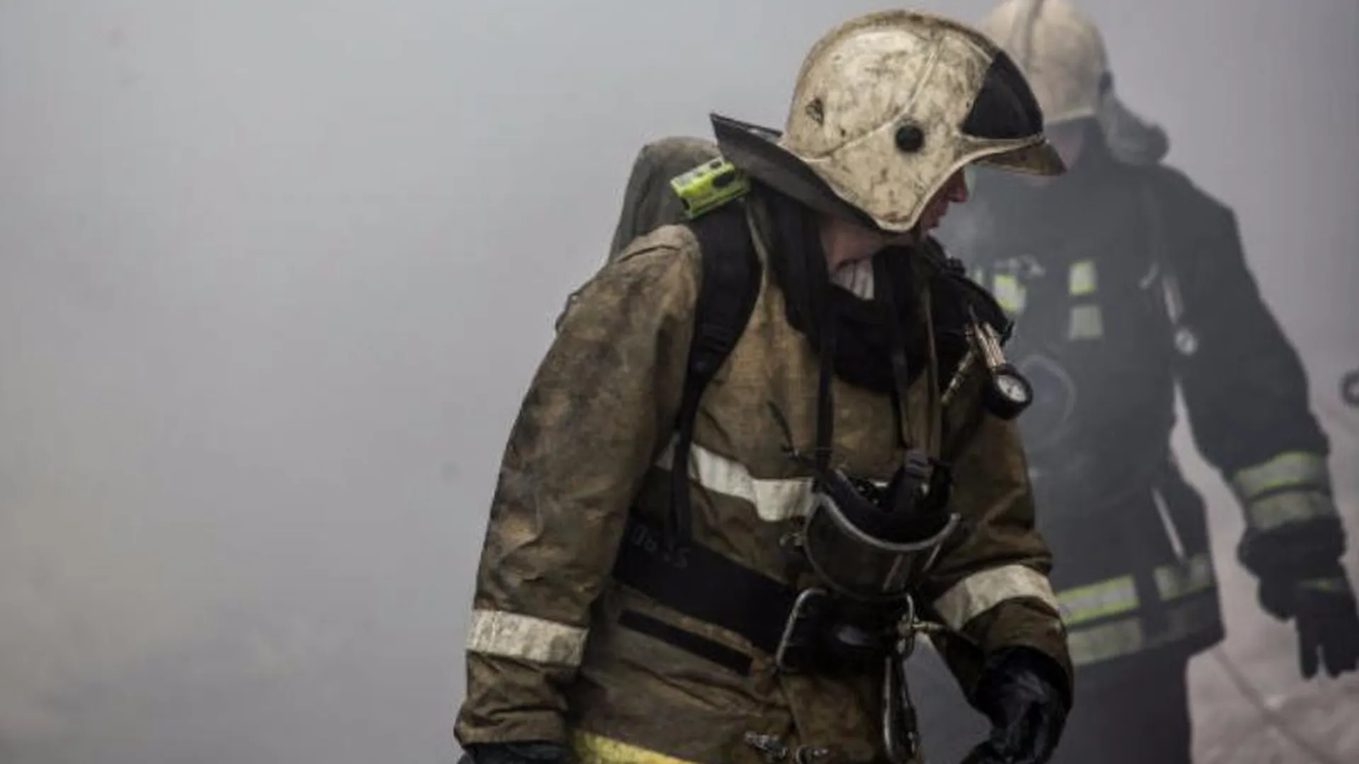 Супругов-пенсионеров зарезали и сожгли в Дмитрове
