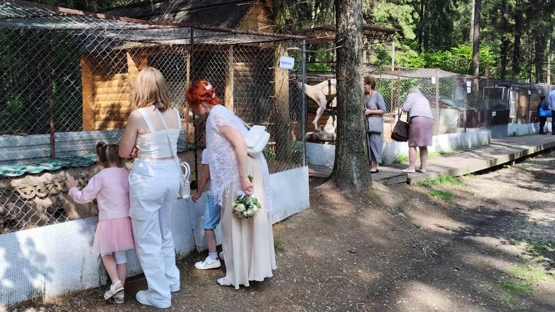 «У кроликов не было ни травинки»: москвичка возмутилась содержанием животных в мытищинском кустарном зоопарке