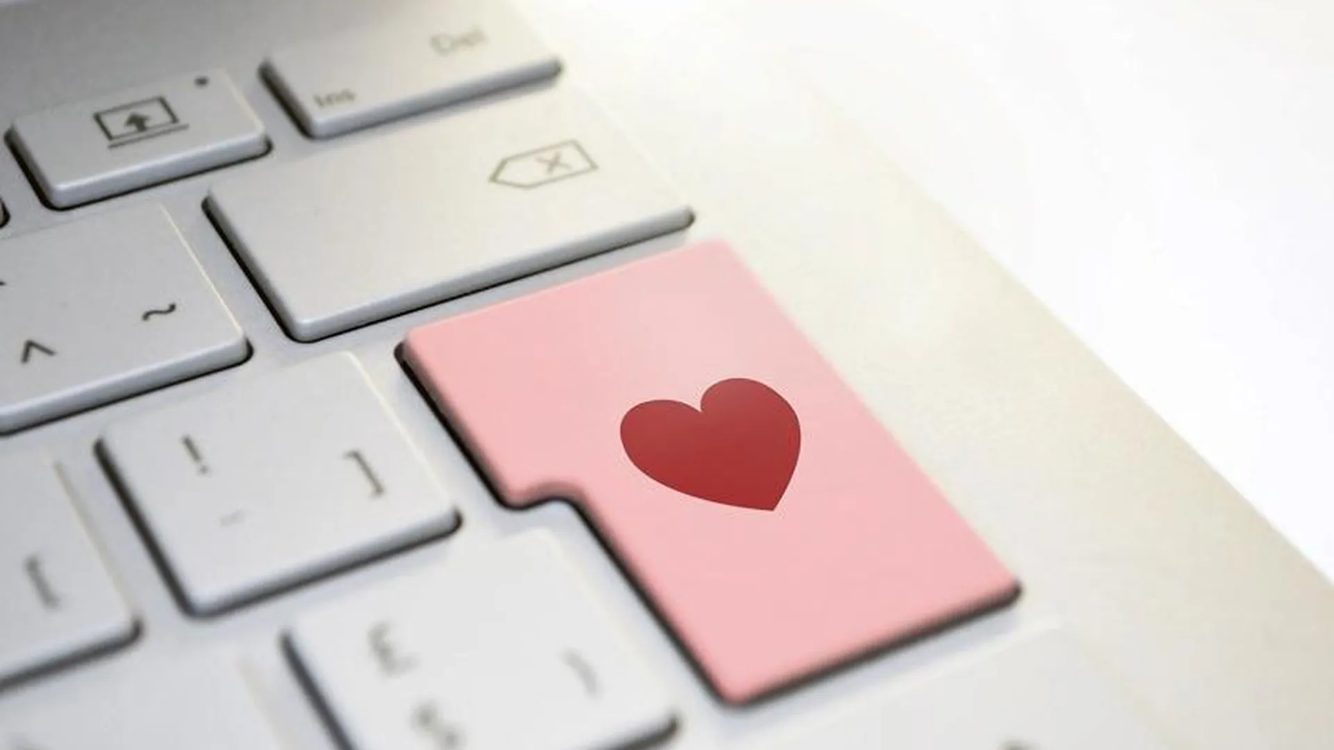 Любовь без трудозатрат: жители Подмосковья рассказали, как найти пару в интернете