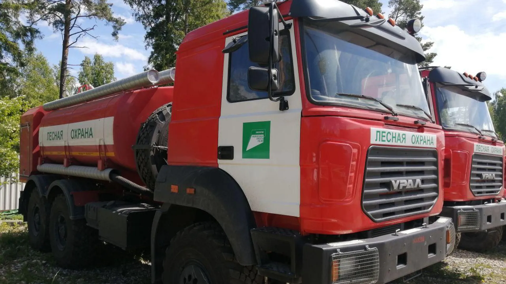 Почти триста миллионов рублей направят в Подмосковье на закупку техники для лесопожарных формирований