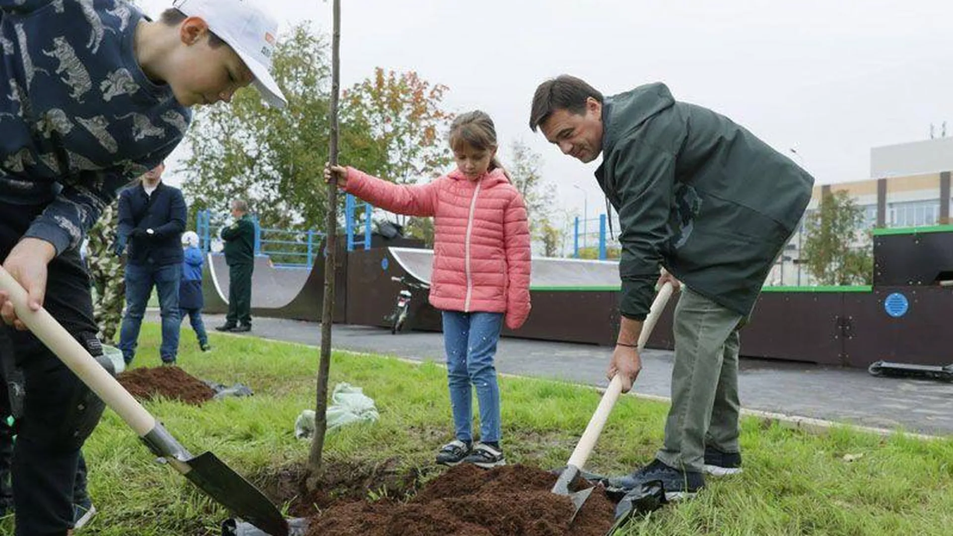 Акция «Наш Лес. Посади свое дерево» стартовала в Московской области