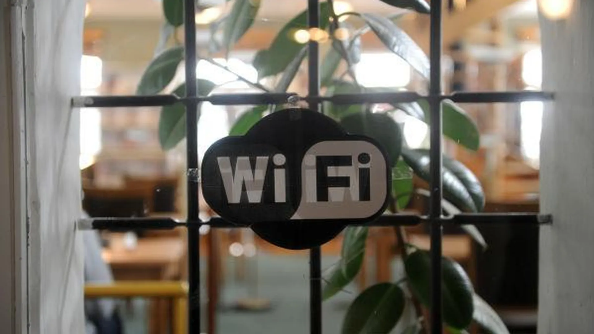 Свободный Wi-Fi появится в марте в подмосковных электричках
