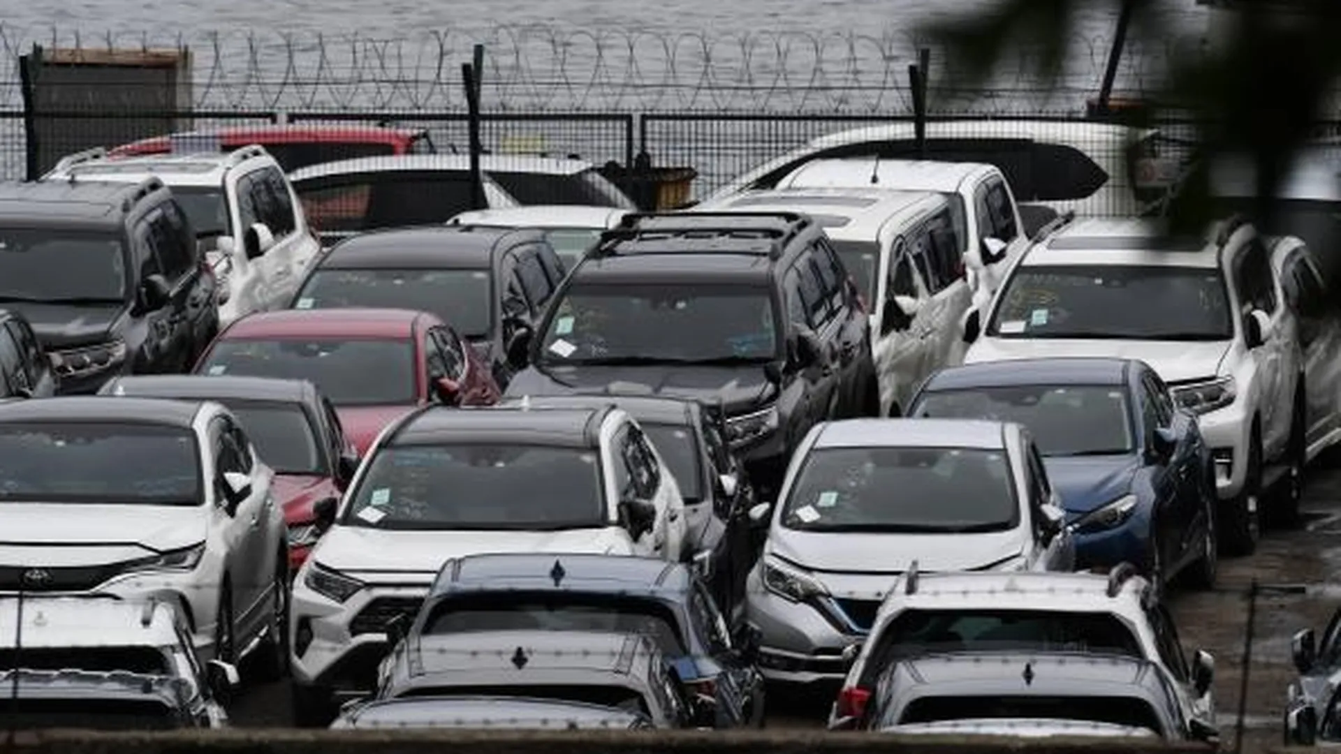 Работы по выгрузке подержанных японских автомобилей в торговом порту Владивостока