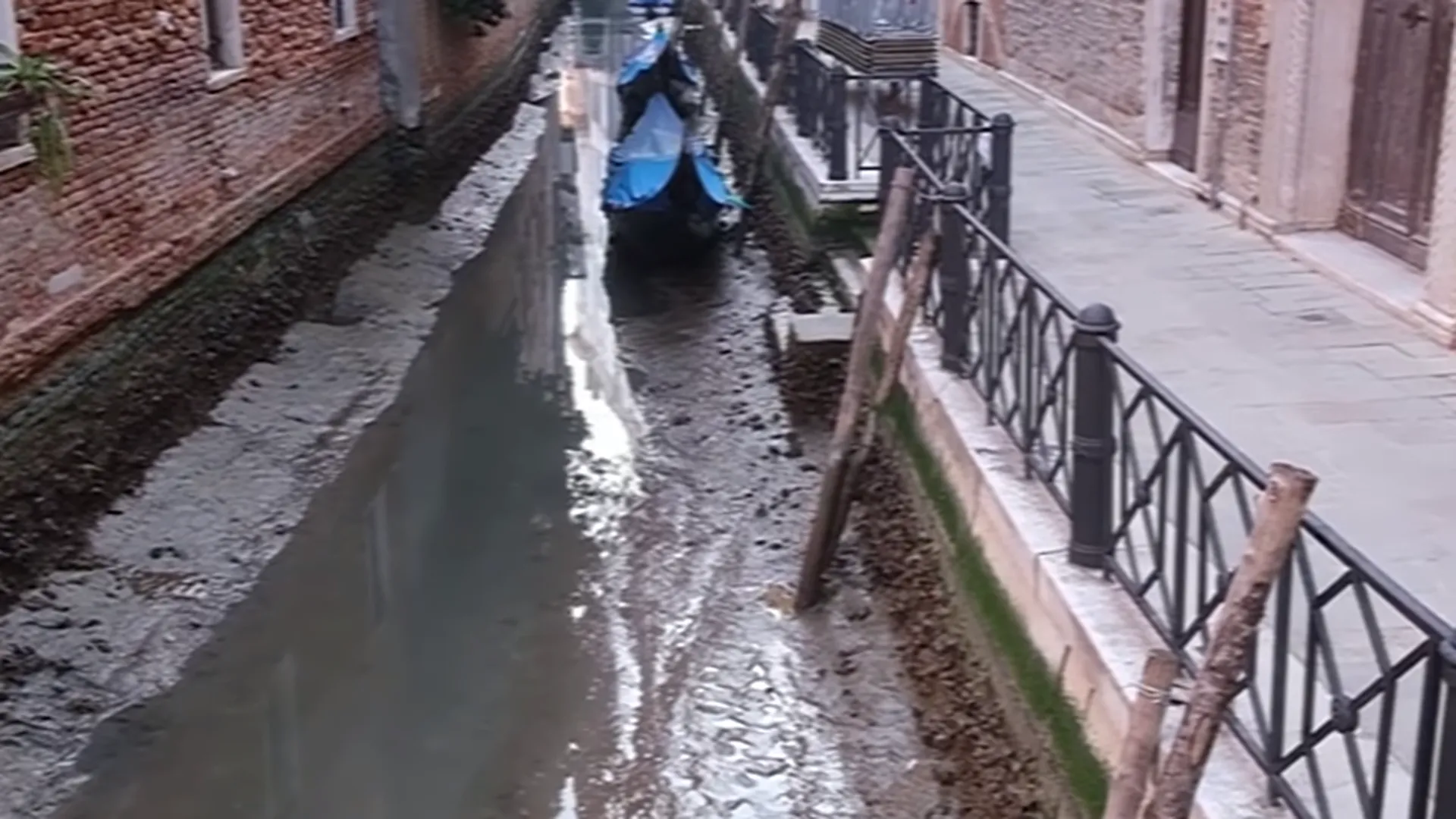 Каналы в Венеции почти пересохли