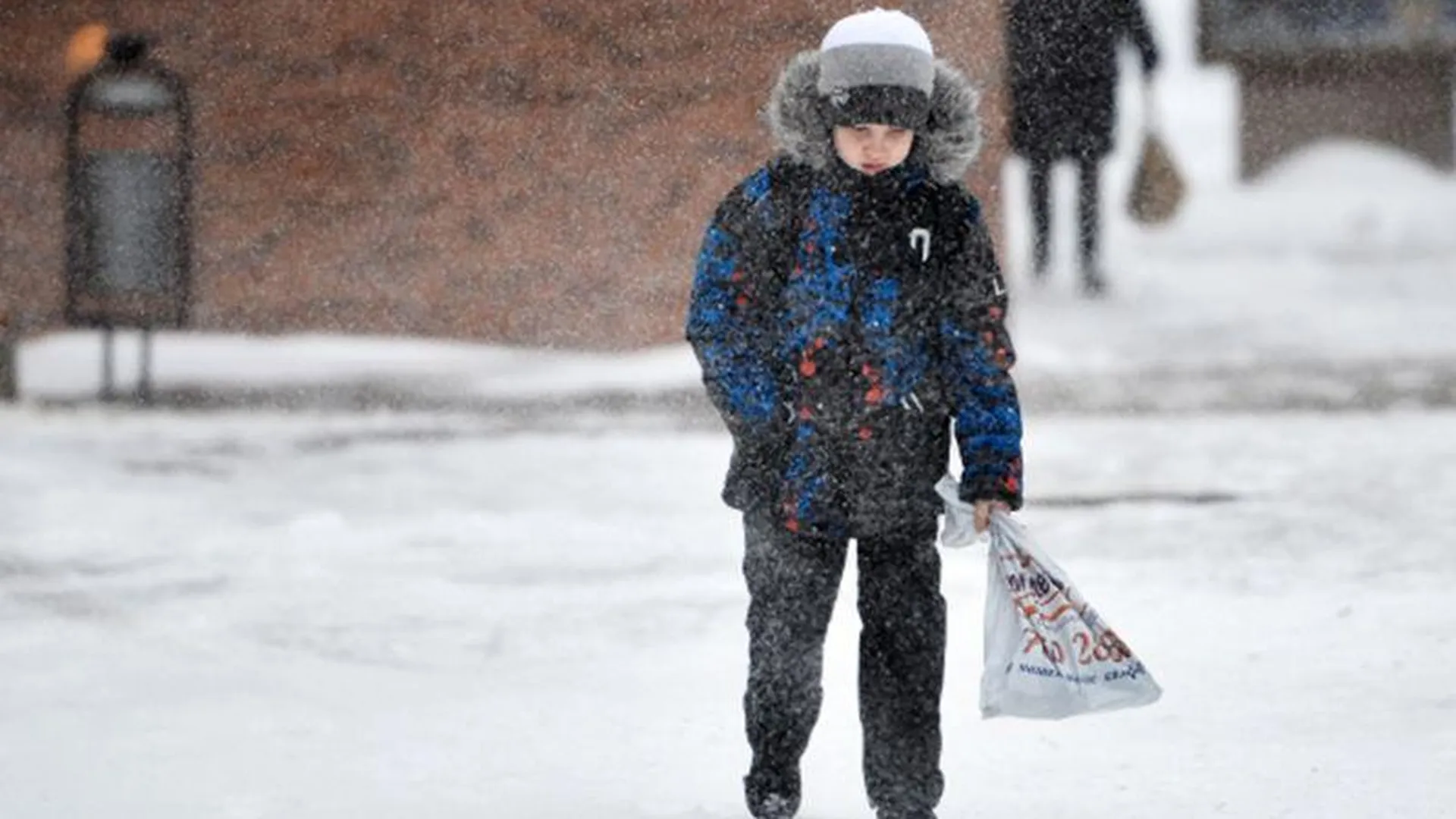 Российский депутат рассказала, разрешат ли школьникам не посещать уроки из-за морозов