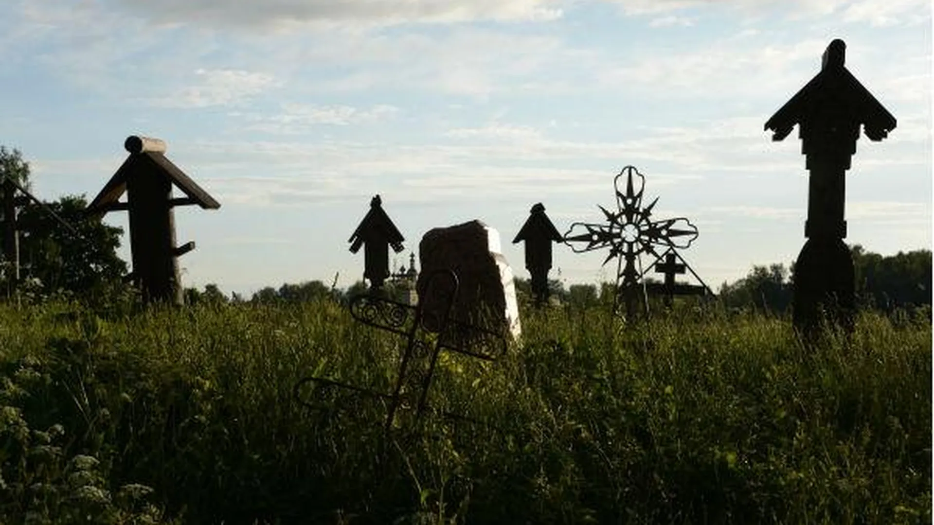 Подобрать место на кладбище в Подмосковье можно будет онлайн