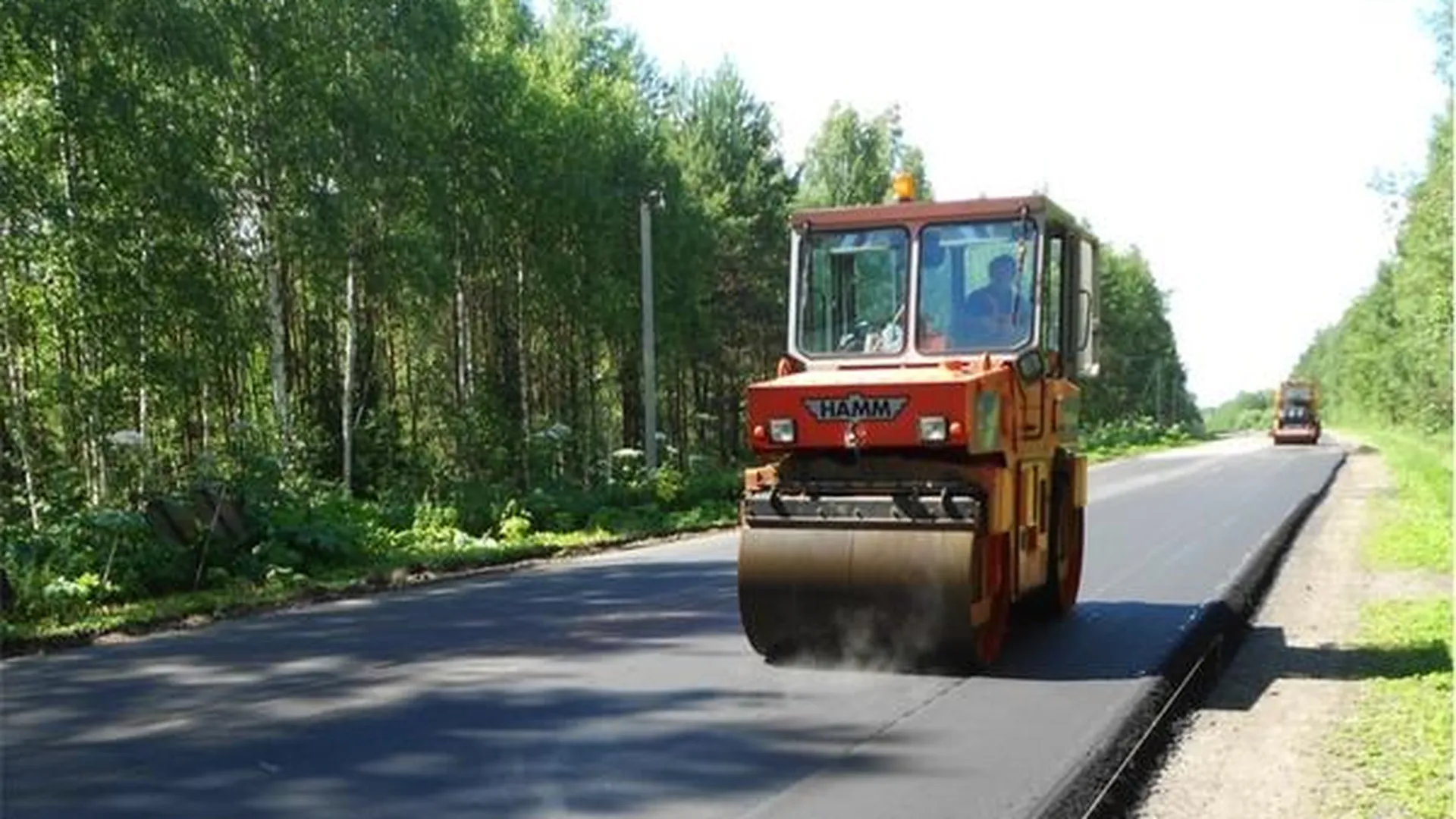 Почти 50 дорог и дворов отремонтируют в Пушкинском районе