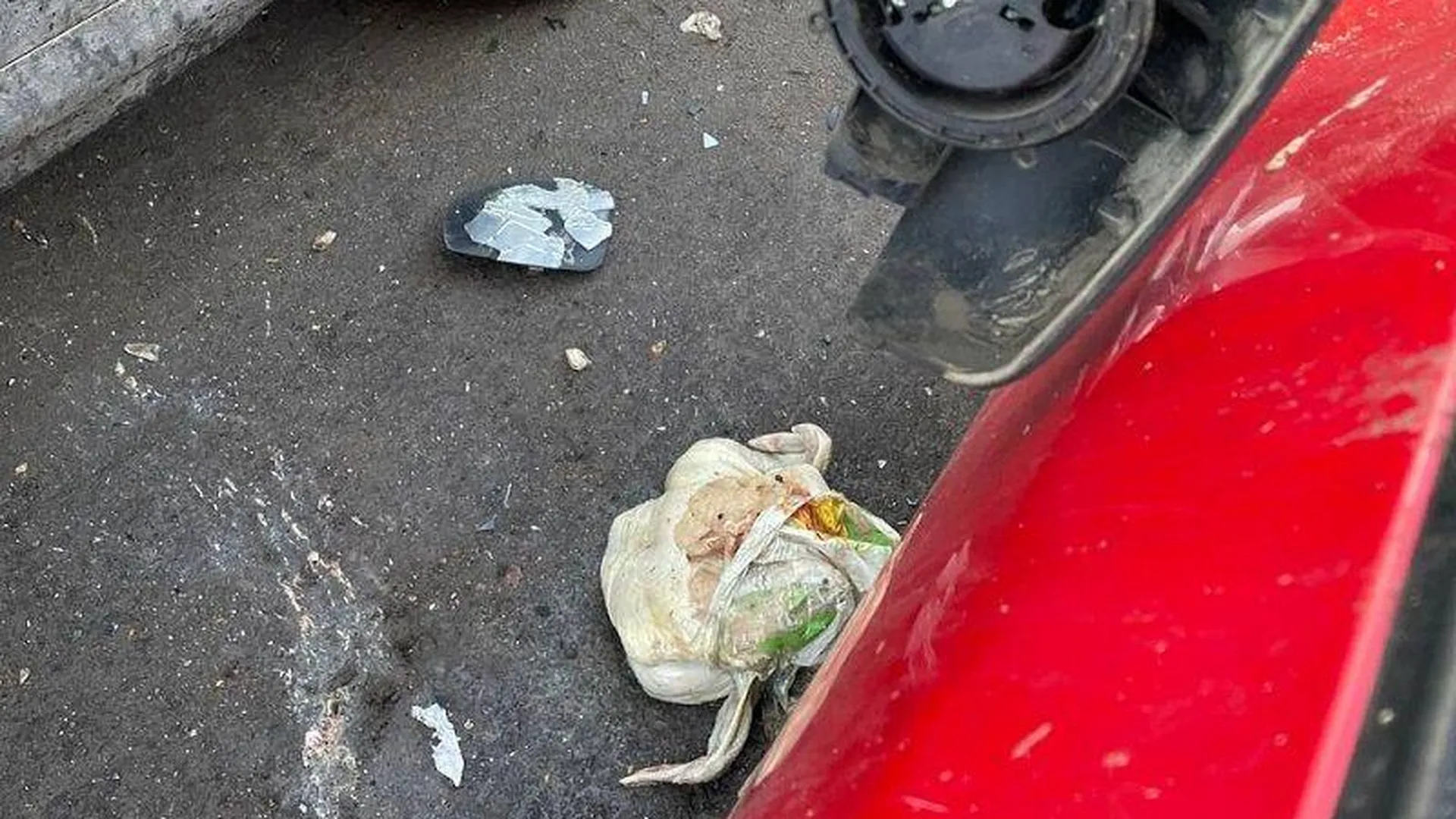 Протухшая курица поломала припаркованный в Краснознаменске автомобиль
