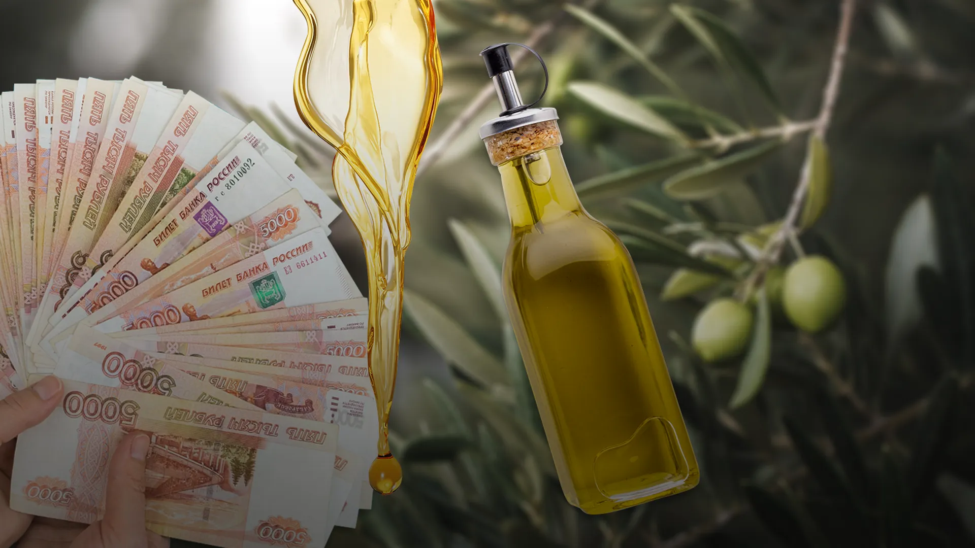 На фоне оливкового дерева бутылка оливкового масла и пачки денег