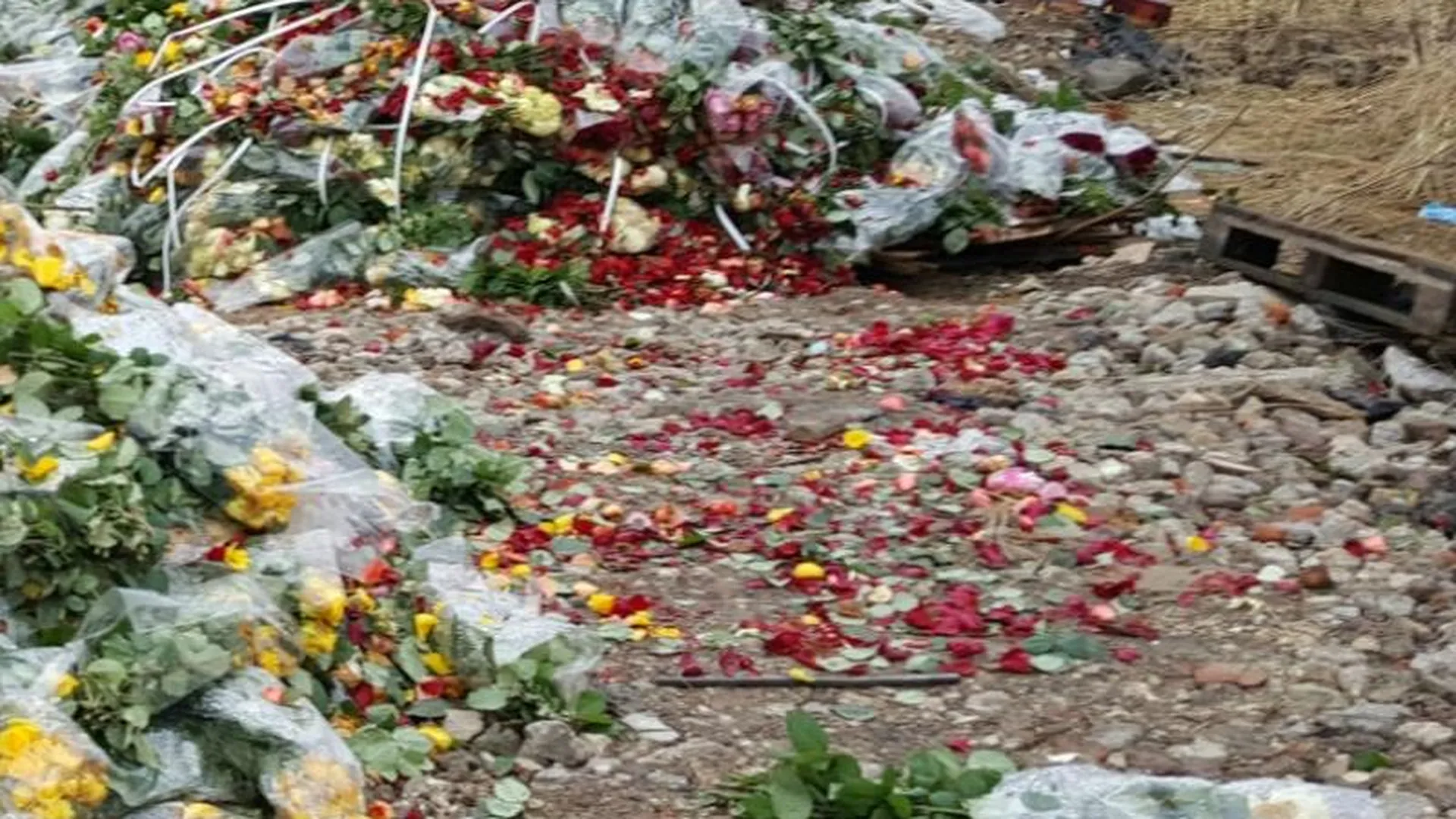 Цветочную свалку уничтожили в Ленинском районе