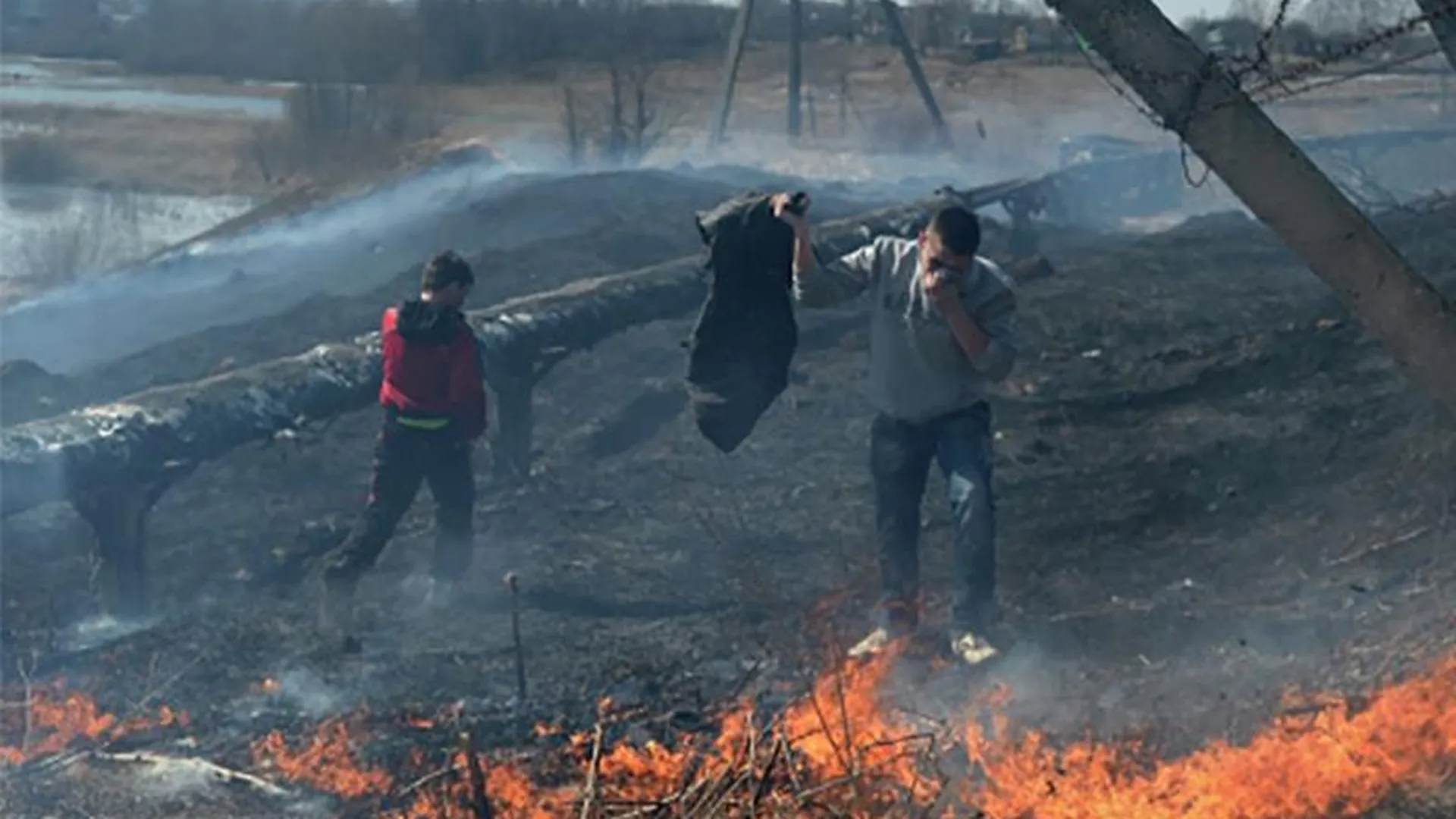 «Травяных» пироманов ловят спасатели и активисты в Подмосковье   