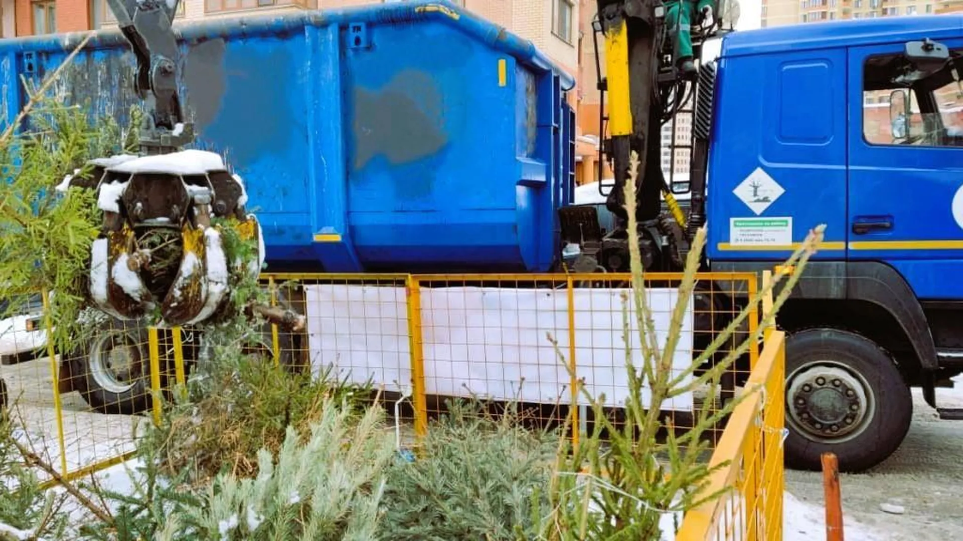 Жителей Подмосковья призвали сдать новогодние елки на переработку