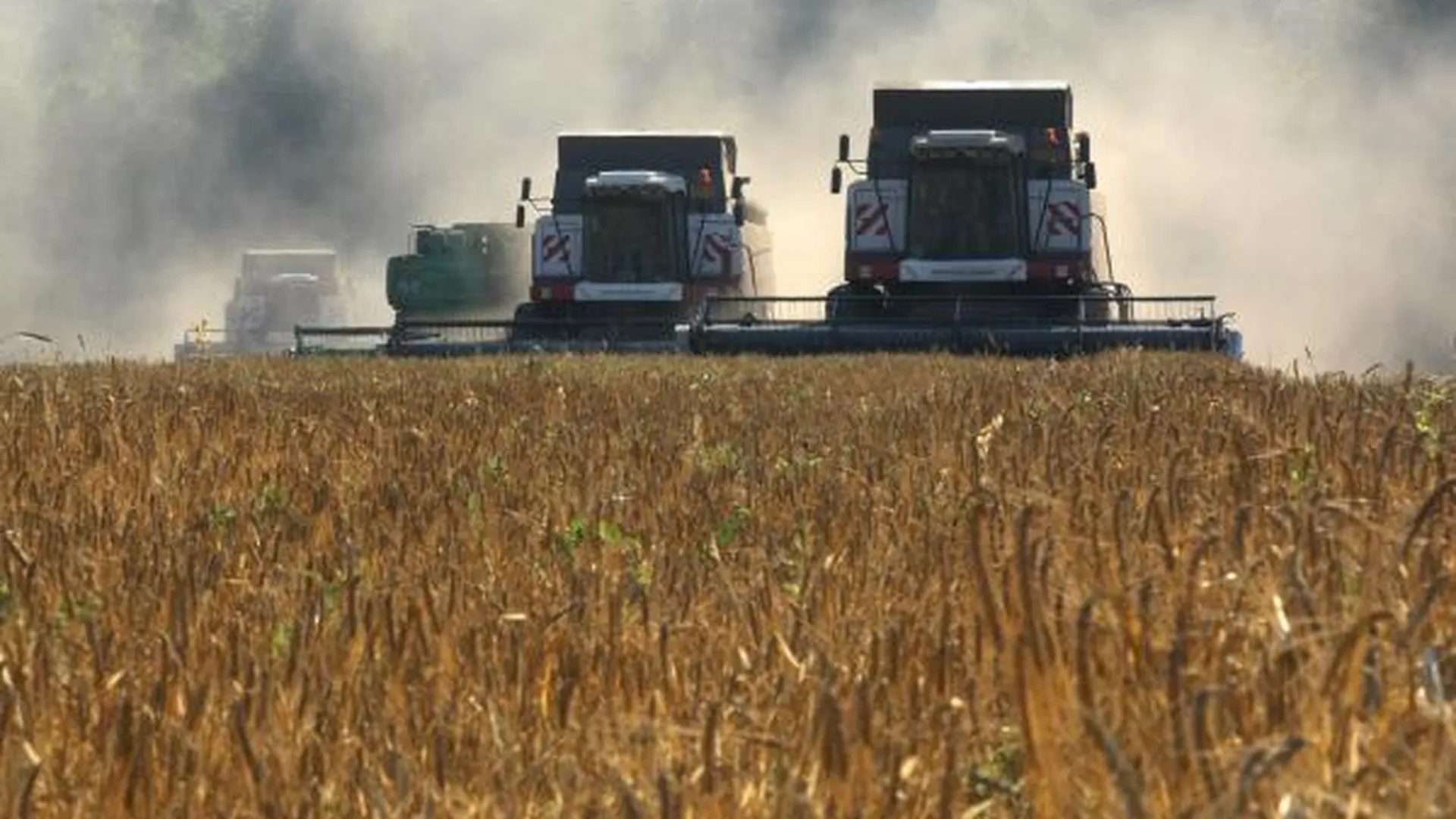 Только 45% сельхозземель ввели в оборот в Солнечногорском районе